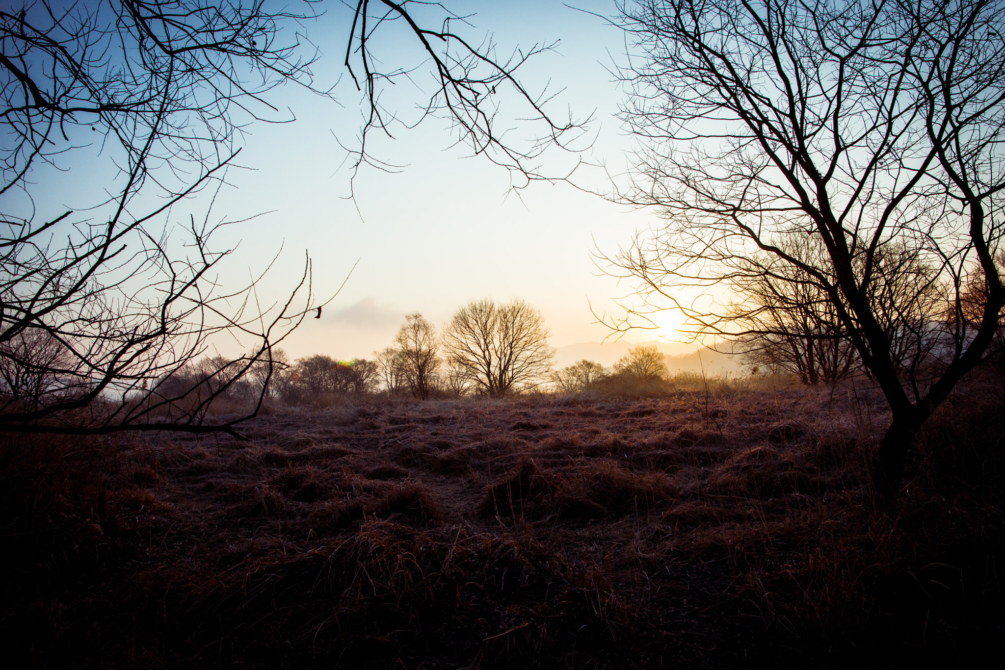 Sony Alpha DSLR-A850 sample photo. Dawn of spring photography