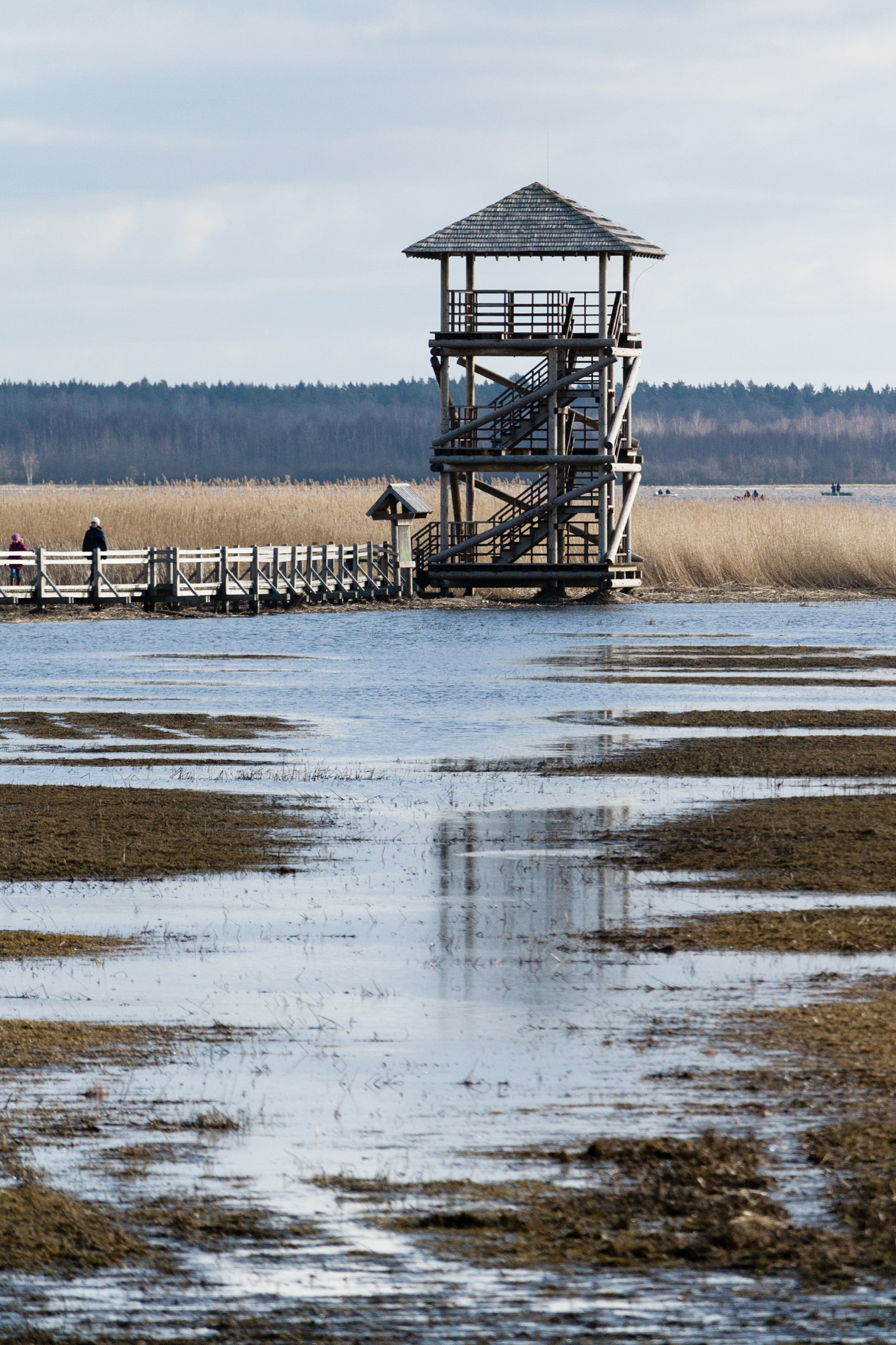 Canon EF-S 55-250mm F4-5.6 IS STM sample photo. Birds tower photography