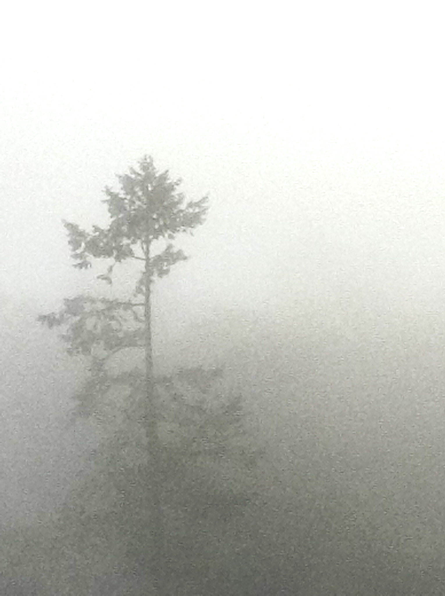 iPod touch back camera 3.3mm f/2.4 sample photo. Shrouded photography