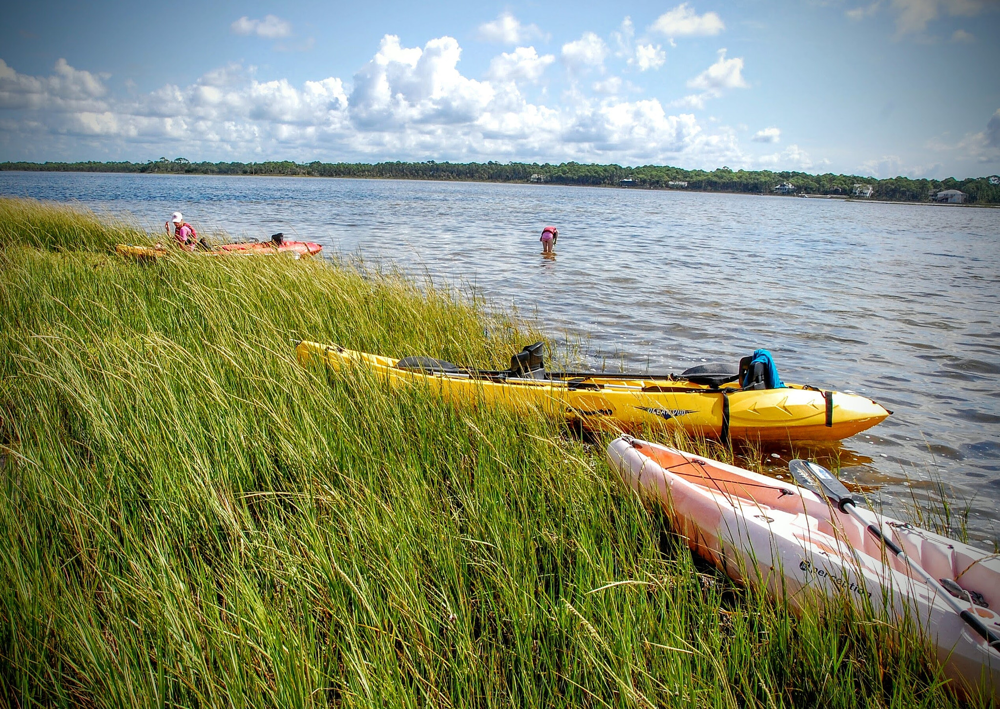Nikon D40 sample photo. Kayaks at rest photography