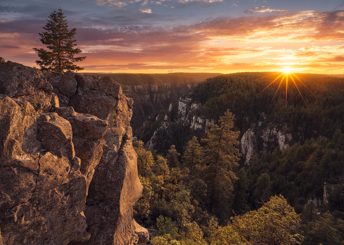 v2?sig=23d1489c8dc975f4812e3f95e340ff5c3