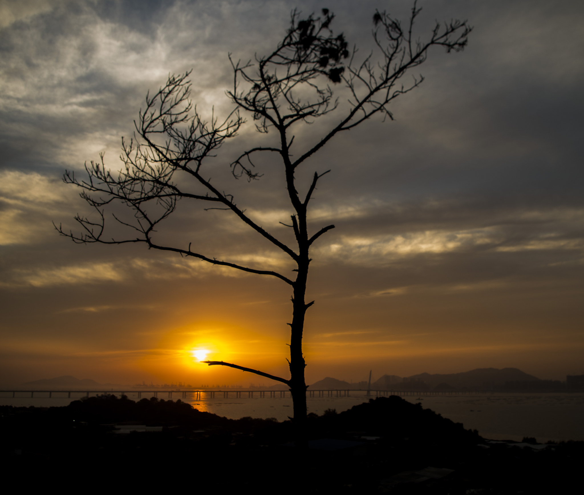 smc PENTAX-DA L 18-55mm F3.5-5.6 sample photo. Tree bears sun photography