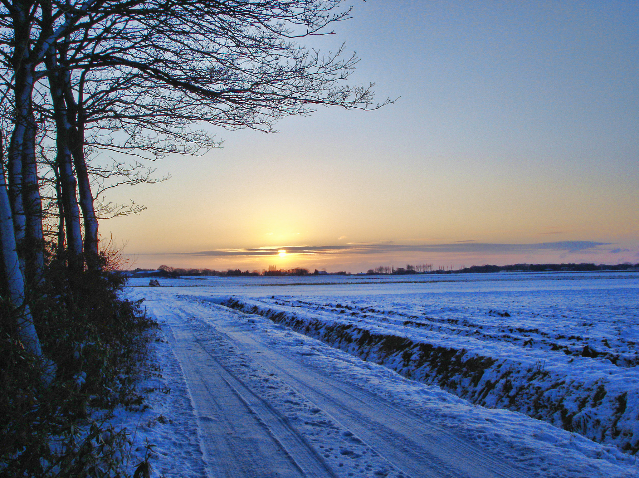 Sony DSC-P120 sample photo. Winter sunset (2) photography