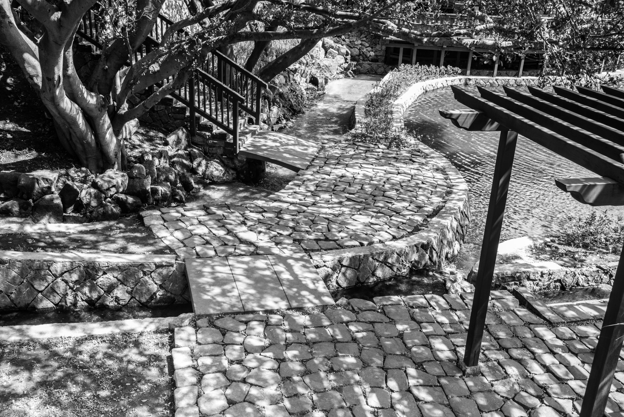 Summicron-M 1:2/35 ASPH. sample photo. Spring sun shine photography