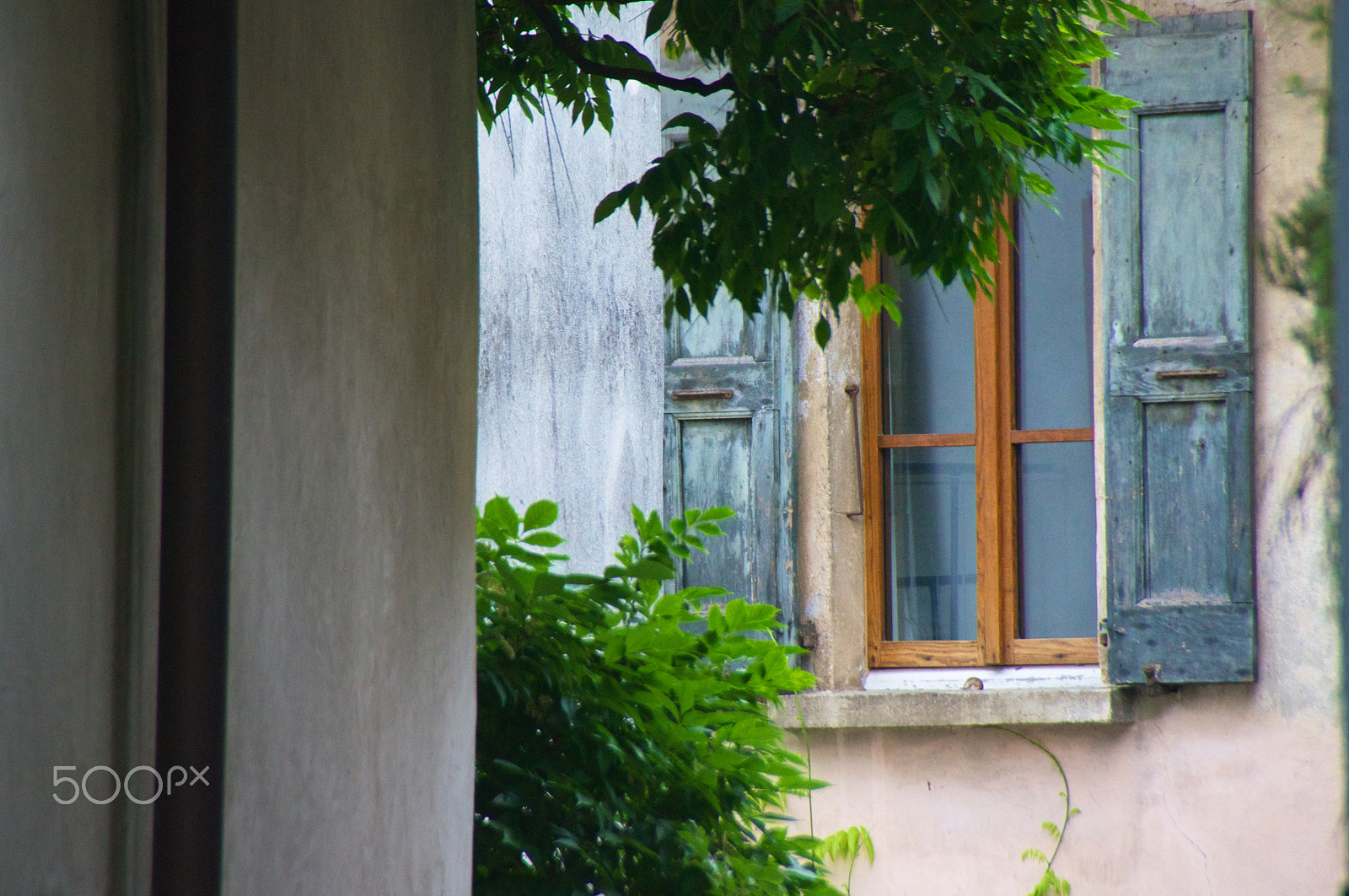 Sony Alpha DSLR-A580 sample photo. Weathered window photography