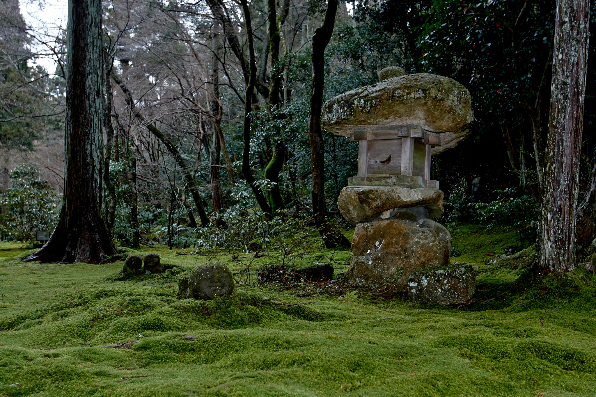 Canon EOS 30D + Canon EF 16-35mm F2.8L USM sample photo. Warashibe jizo photography