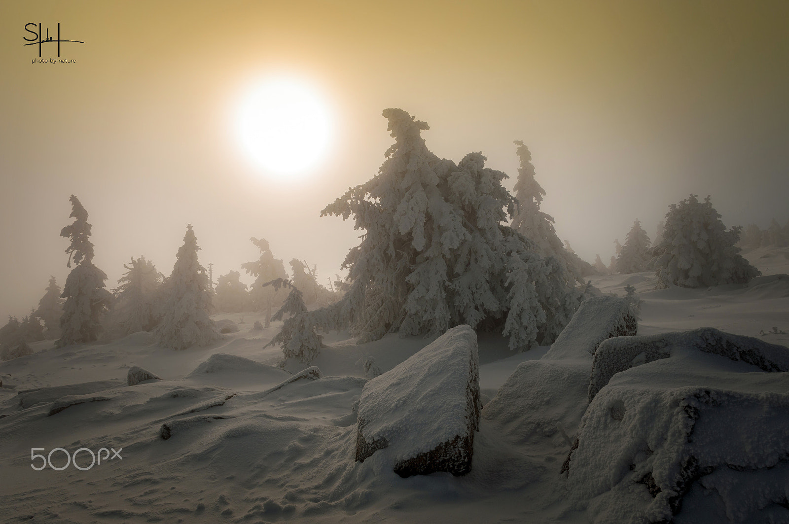 Nikon D300 + Sigma 18-50mm F2.8-4.5 DC OS HSM sample photo. Winter im harz photography