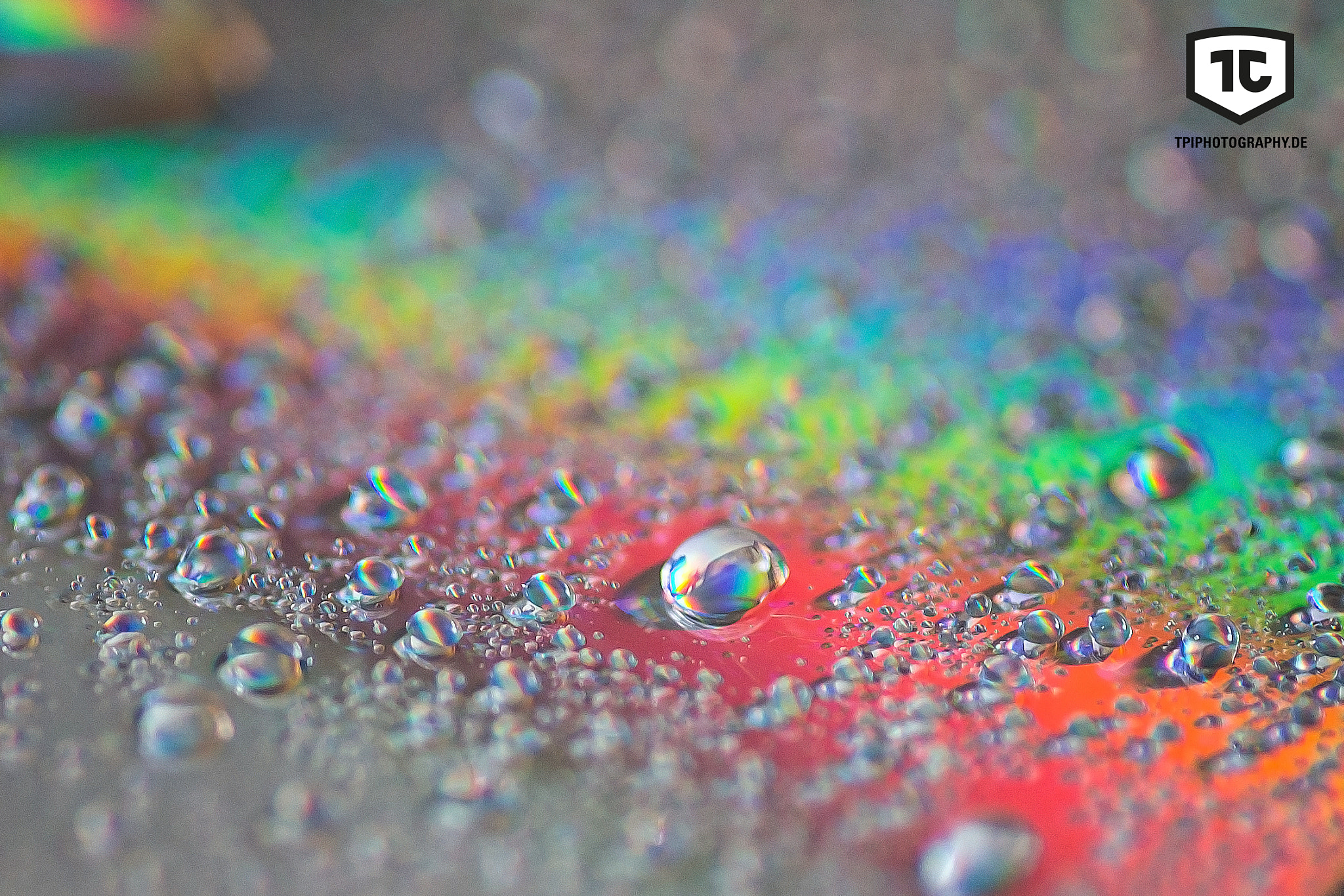 Tamron SP AF 90mm F2.8 Di Macro sample photo. *** drops of life *** photography