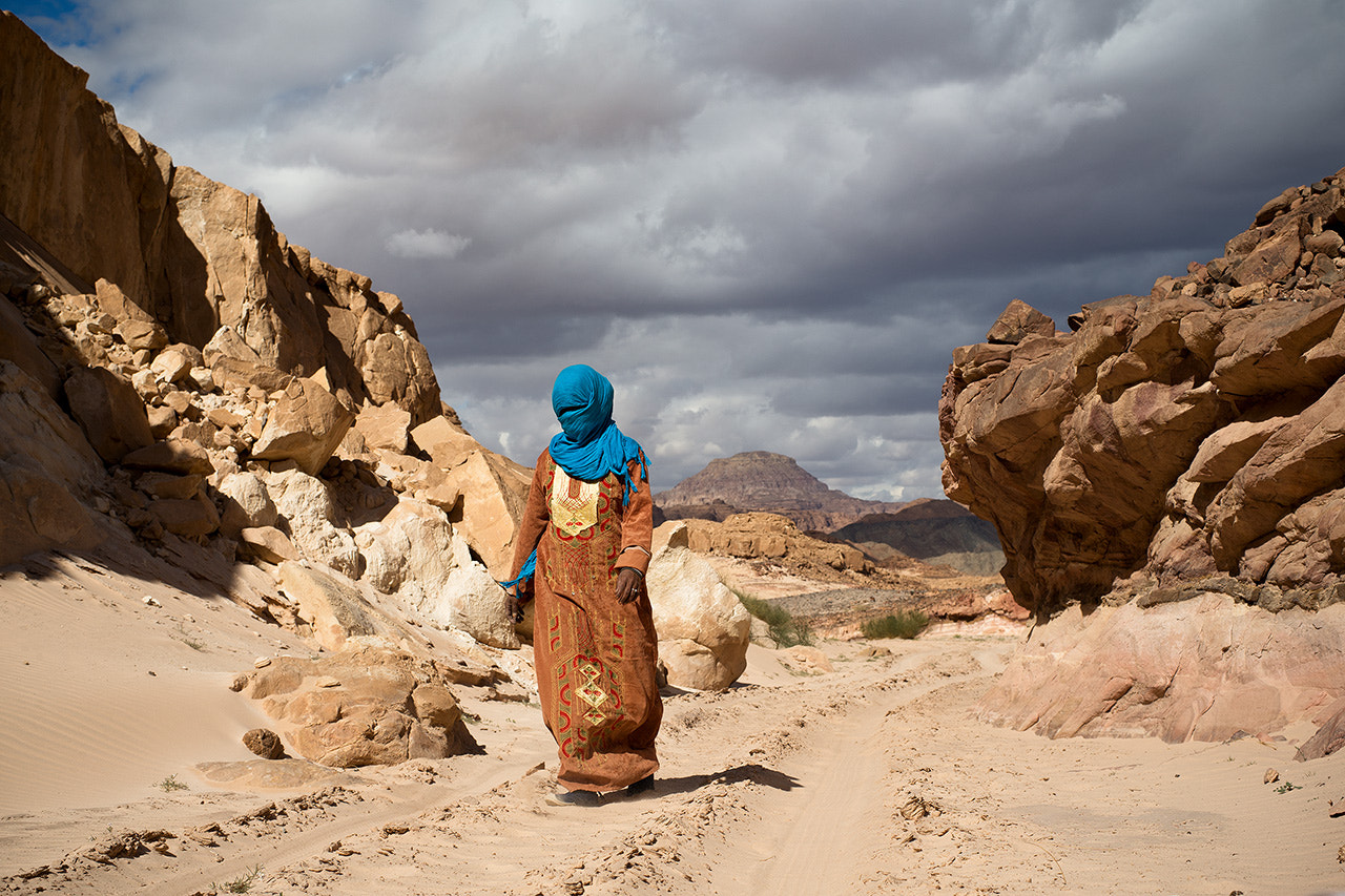 ZEISS Planar T* 50mm F1.4 sample photo. In sinai desert photography