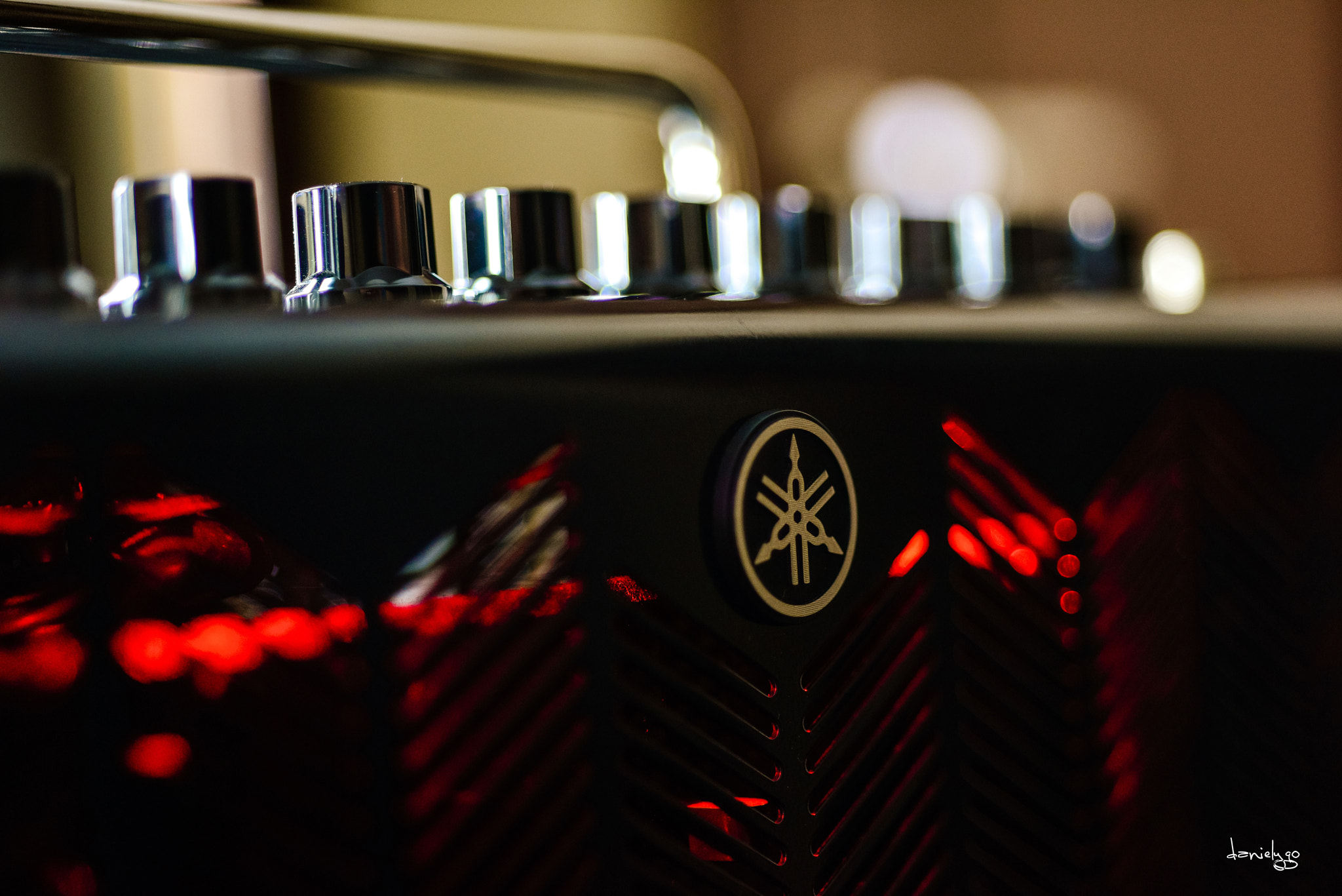 Nikon D810 + Nikon AF Micro-Nikkor 60mm F2.8D sample photo. Yamaha thr10c photography