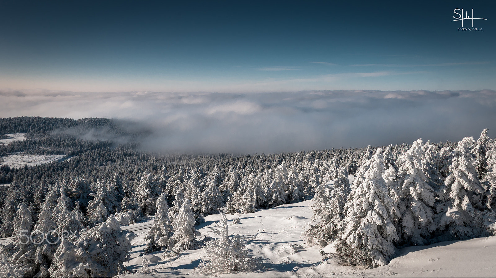 Nikon D300 + Sigma 18-50mm F2.8-4.5 DC OS HSM sample photo. Winterblick photography