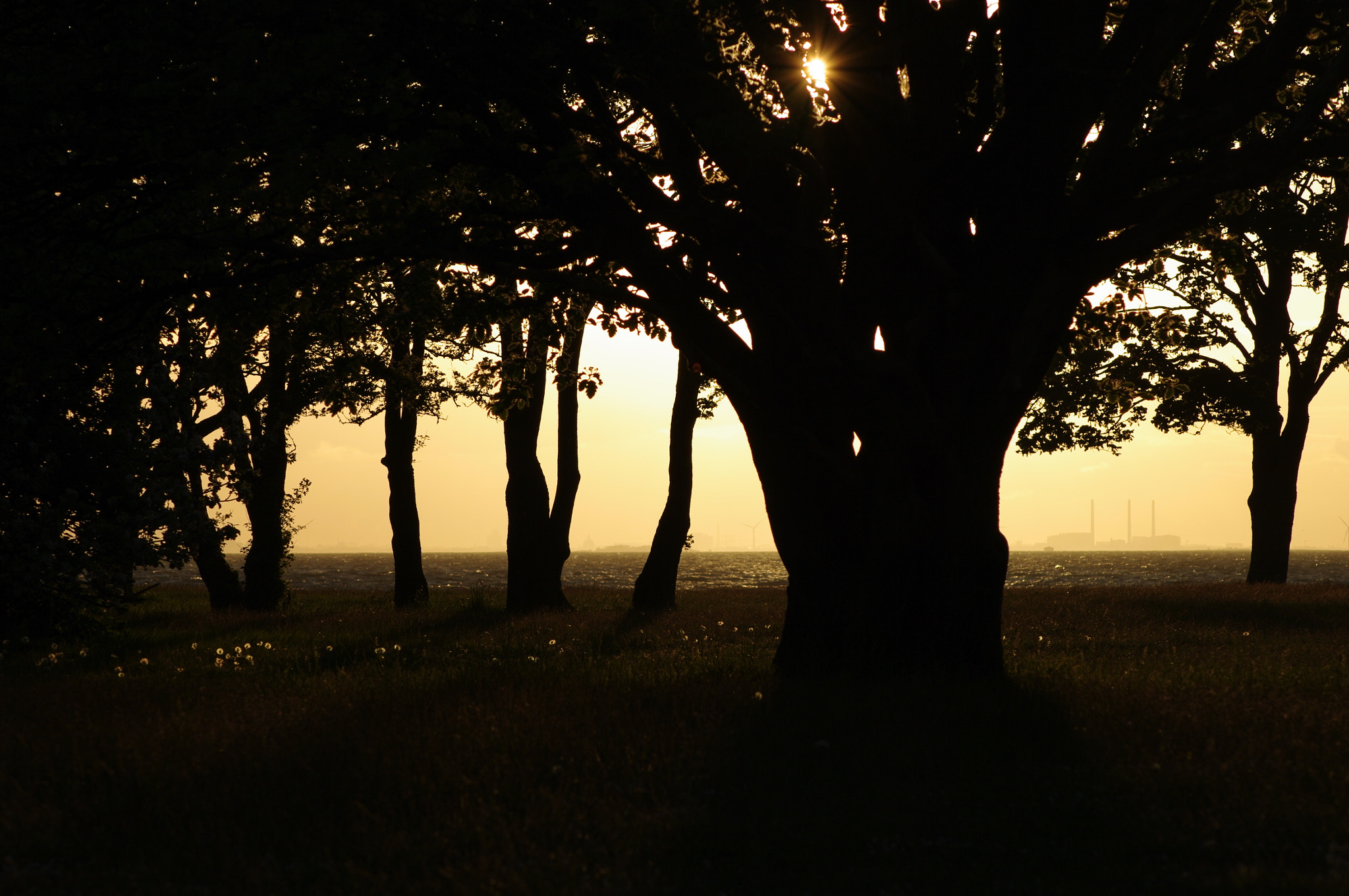 Tamron AF 70-300mm F4-5.6 Di LD Macro sample photo. Darktrees photography