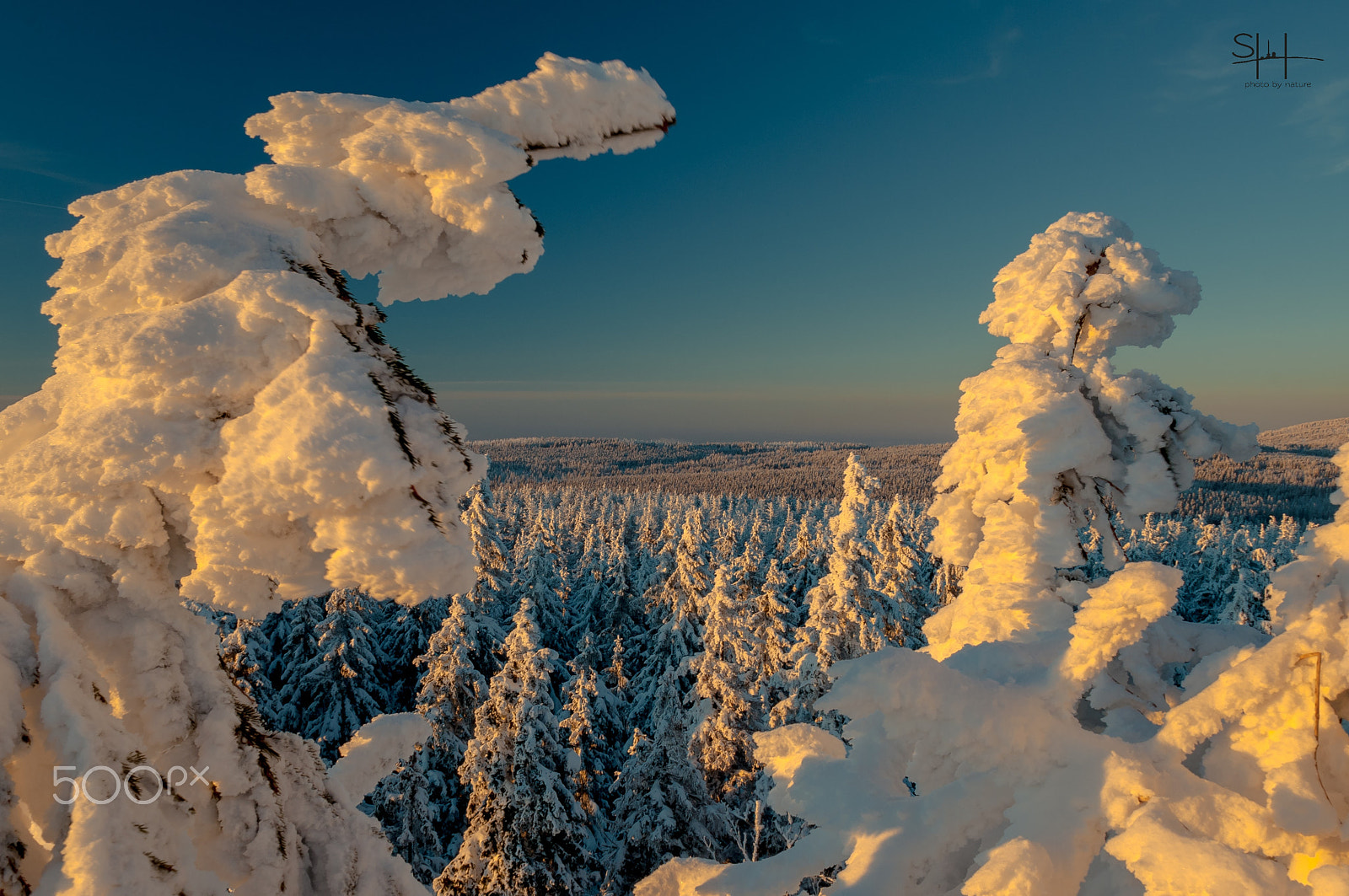 Sigma 18-50mm F2.8-4.5 DC OS HSM sample photo. Durchblick photography