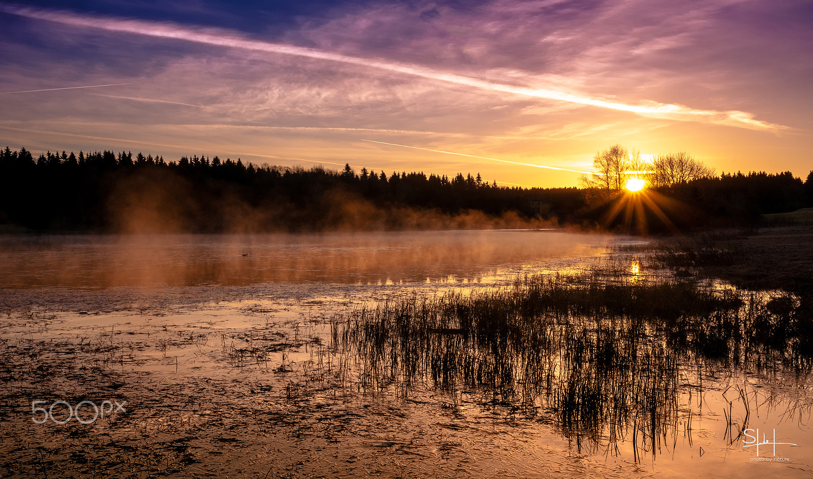 Nikon D300 + Sigma 18-50mm F2.8-4.5 DC OS HSM sample photo. Der teich photography