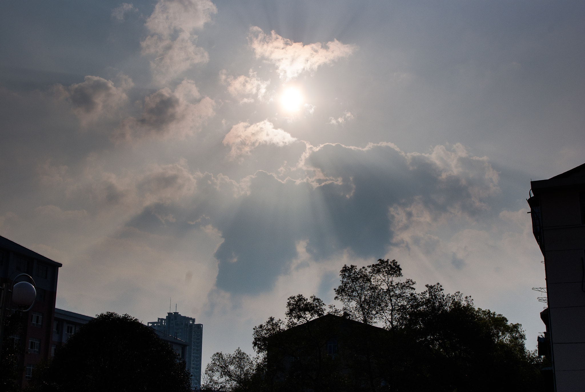 Pentax K200D sample photo. Sunshine photography