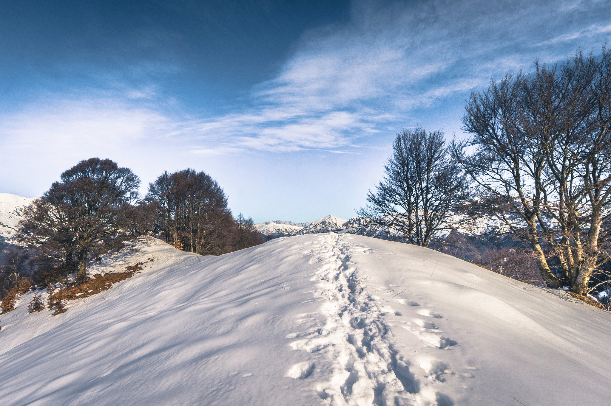 Sony Alpha a5000 (ILCE 5000) + Sony E 10-18mm F4 OSS sample photo. The trees look  back at me smiling photography