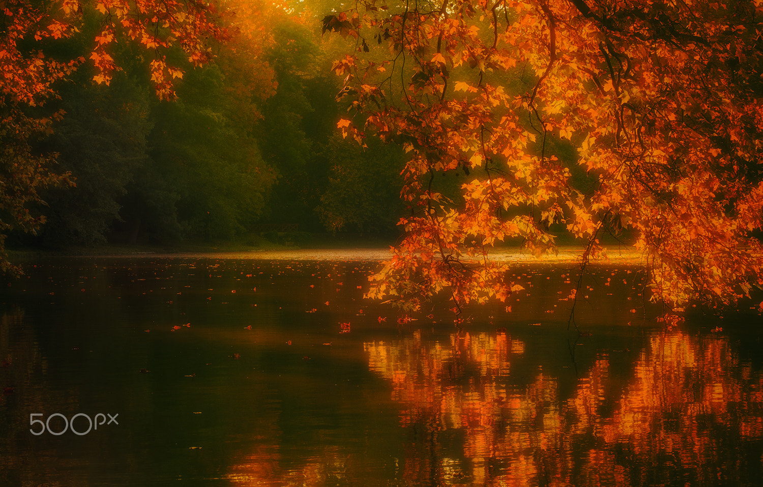 Sony ILCA-77M2 + Tamron SP 24-70mm F2.8 Di VC USD sample photo. Autumn in the lake photography