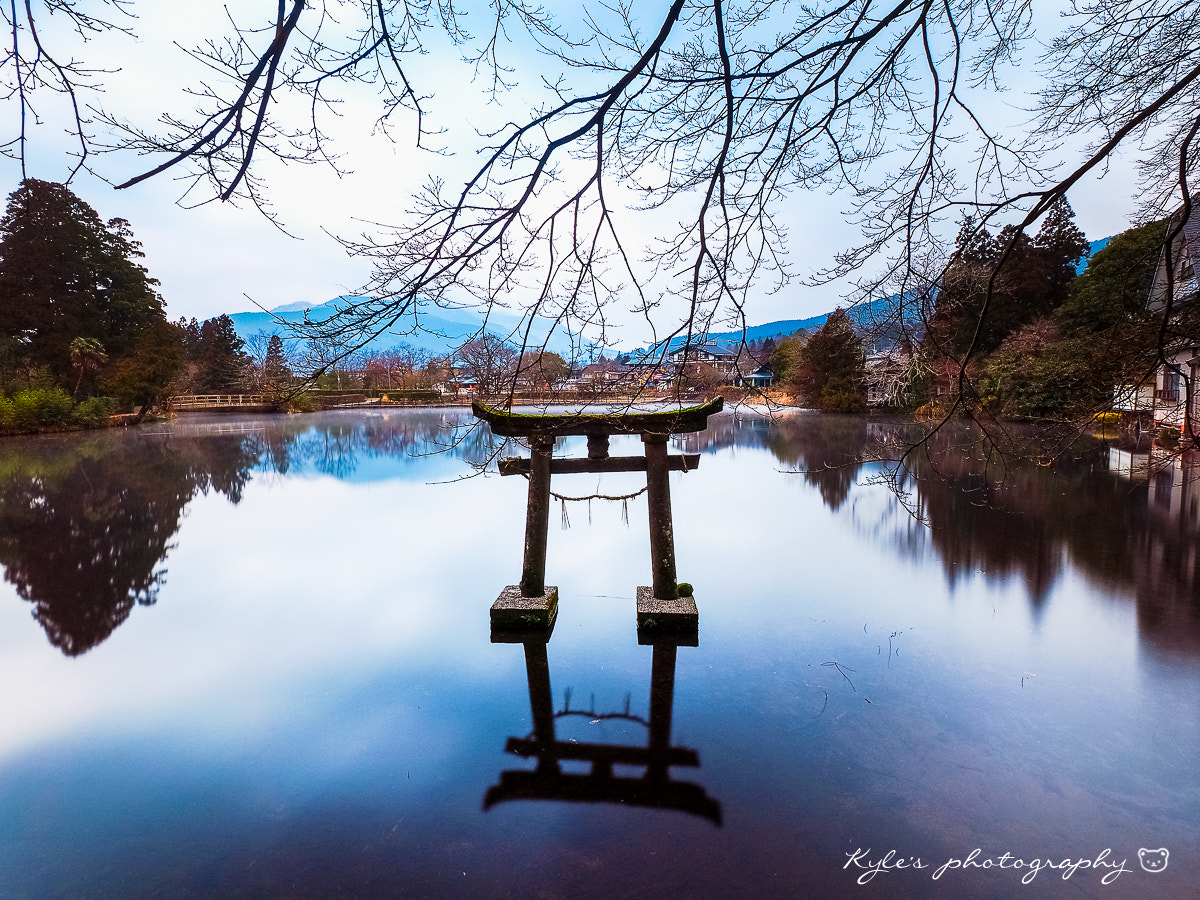 Olympus OM-D E-M1 + Olympus Zuiko Digital ED 9-18mm F4.0-5.6 sample photo. 金鱗湖鳥居 photography