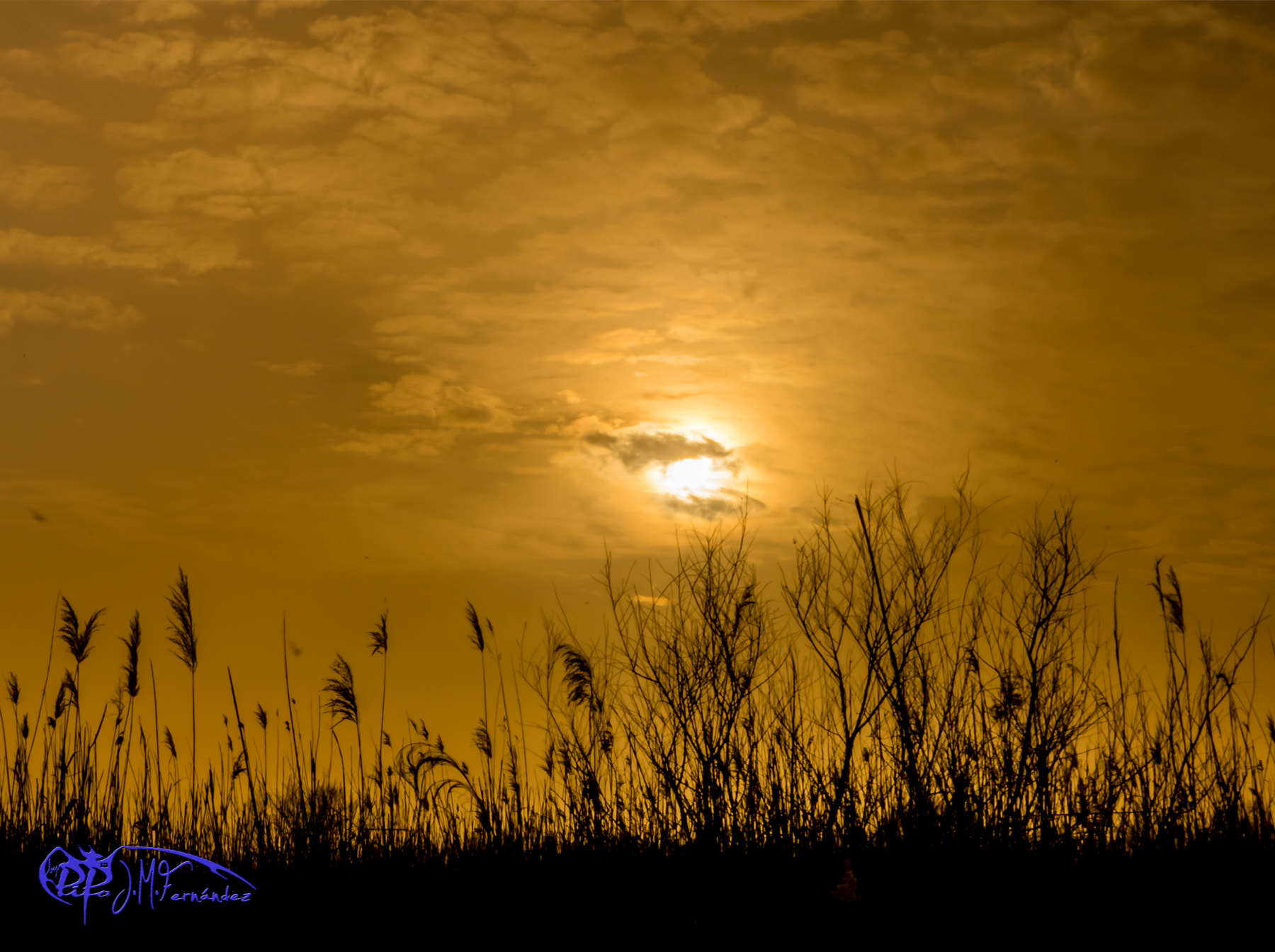 Canon EF 28mm F2.8 sample photo. Las presas. minas de riotinto. photography