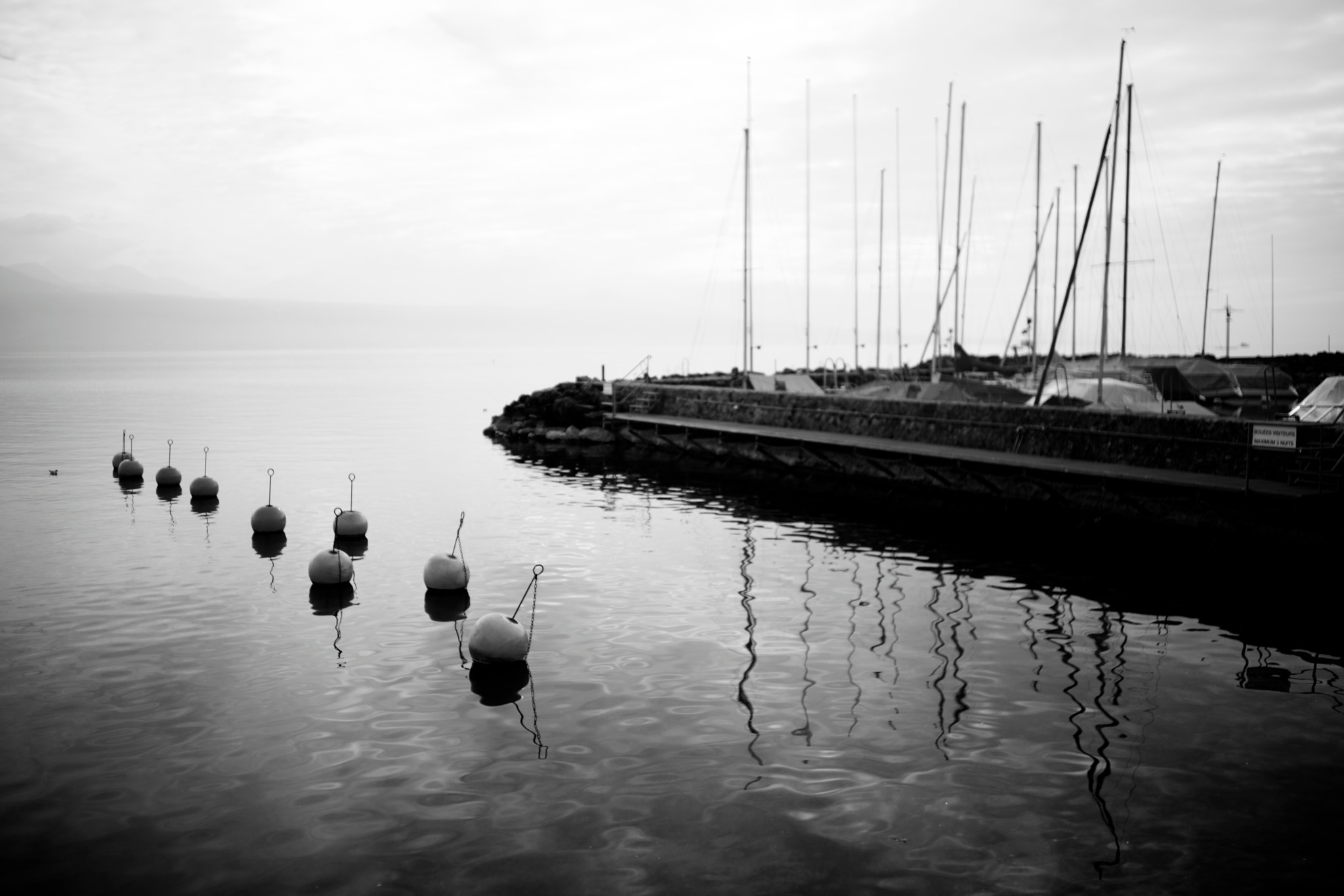 Sony a99 II + Sony 35mm F1.4 G sample photo. Lutry, switzerland, 01-03-2016 (#5) photography