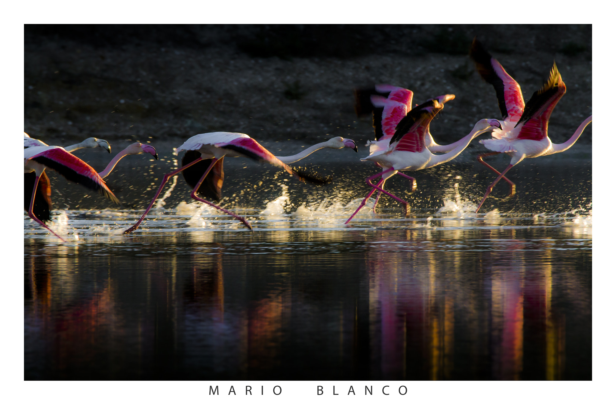 Tamron SP 150-600mm F5-6.3 Di VC USD sample photo. Light &amp; colours photography