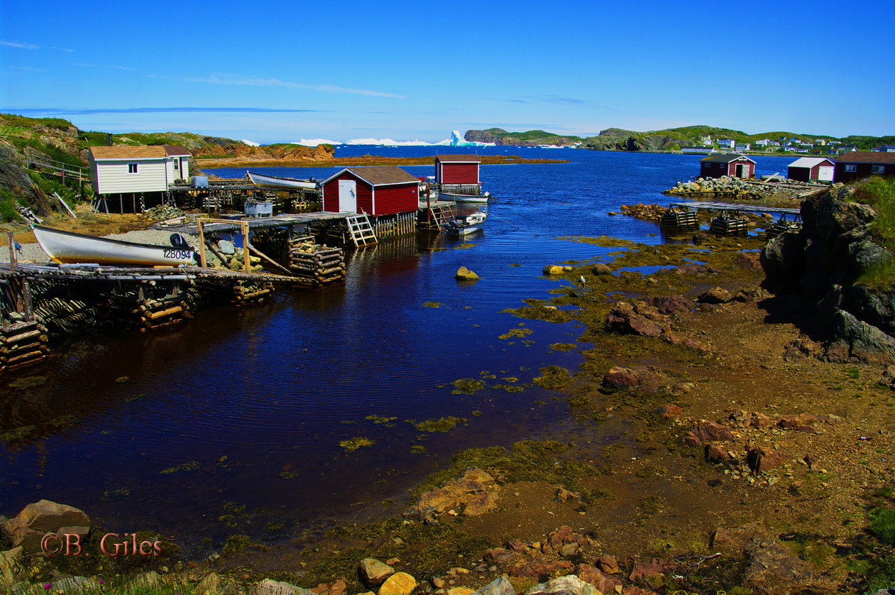 Pentax K20D sample photo. Twillingate newfoundland photography