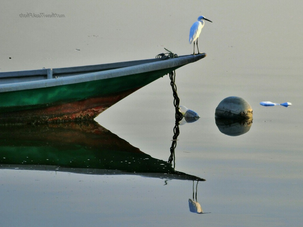 CASIO EX-100 sample photo. Alone photography