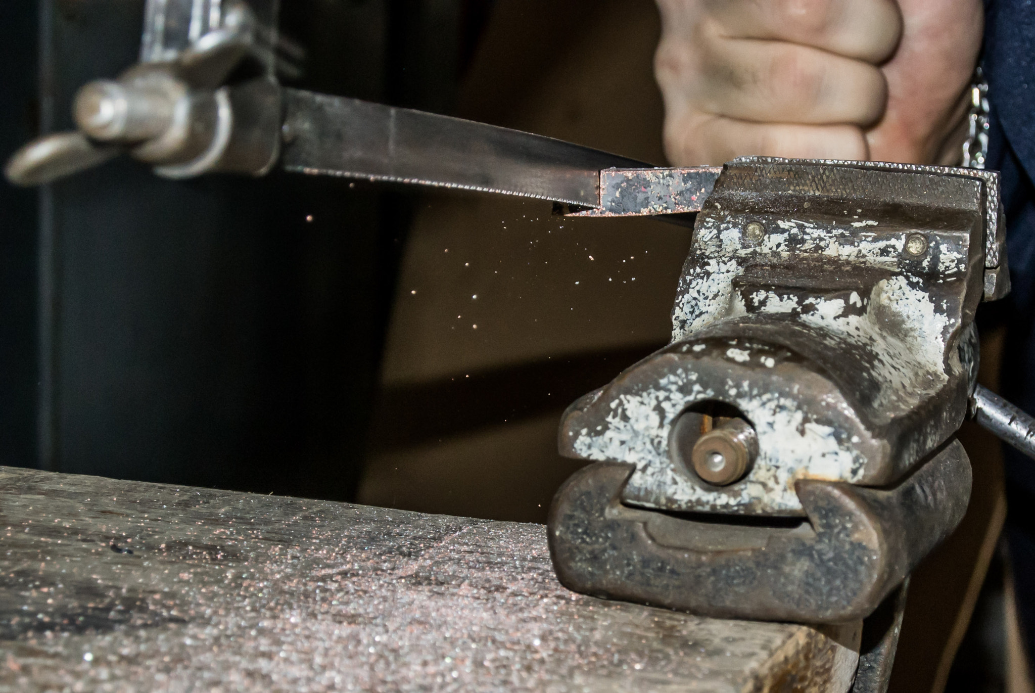 Nikon 1 Nikkor 11-27.5mm F3.5-5.6 sample photo. Sawing photography