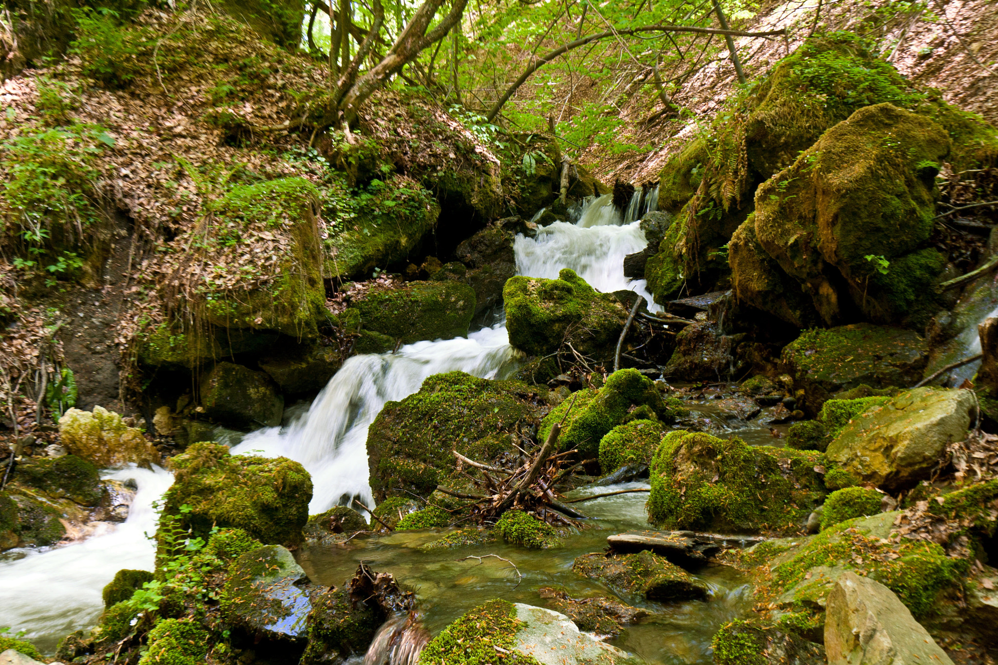 Canon EF-S 10-22mm F3.5-4.5 USM sample photo. Uviralo creek photography