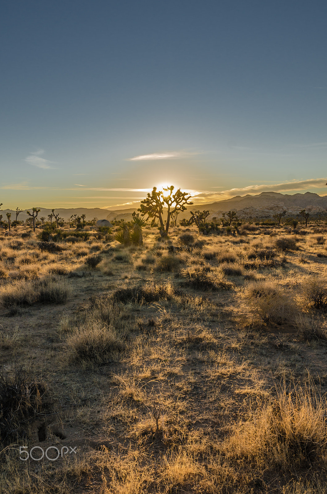 Nikon AF-S Nikkor 17-35mm F2.8D ED-IF sample photo. Wide shot of desert scene at sun set photography