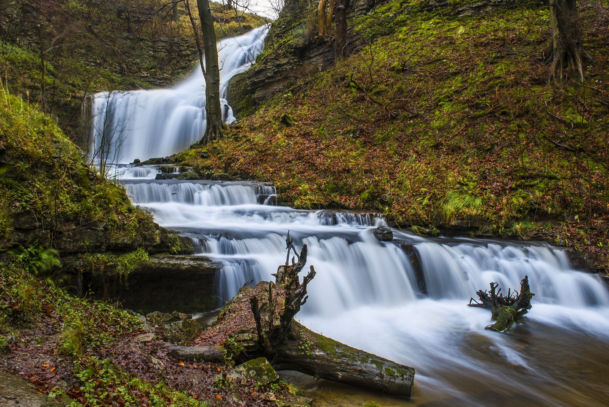 Yorkshire