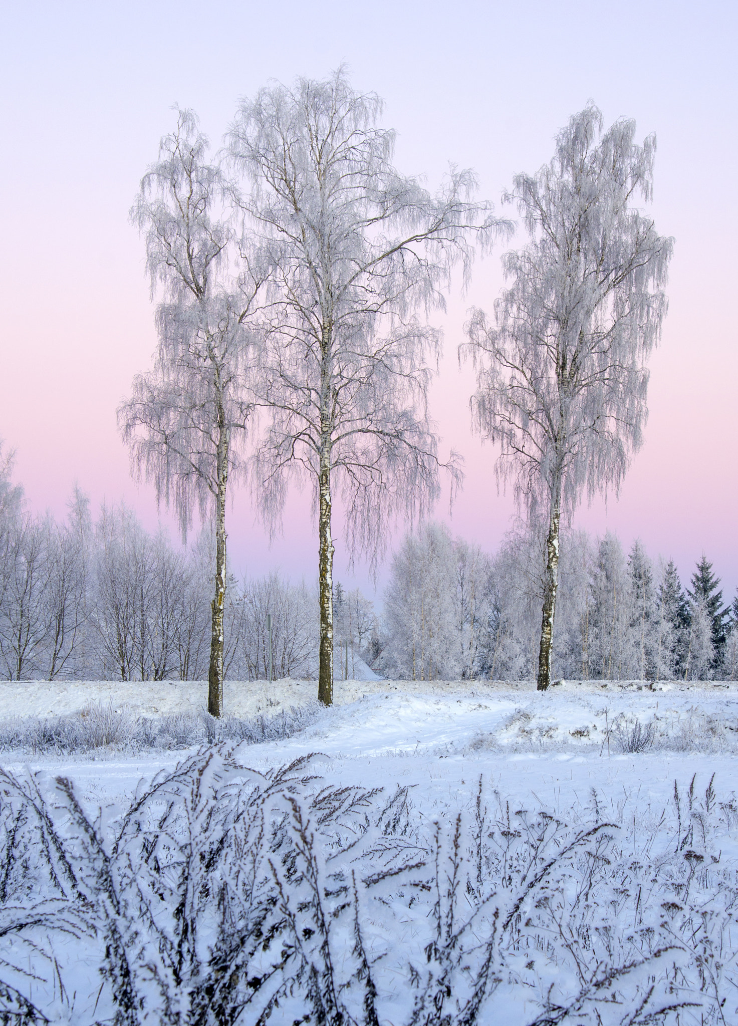 Tamron AF 28-75mm F2.8 XR Di LD Aspherical (IF) sample photo. Landscape photography