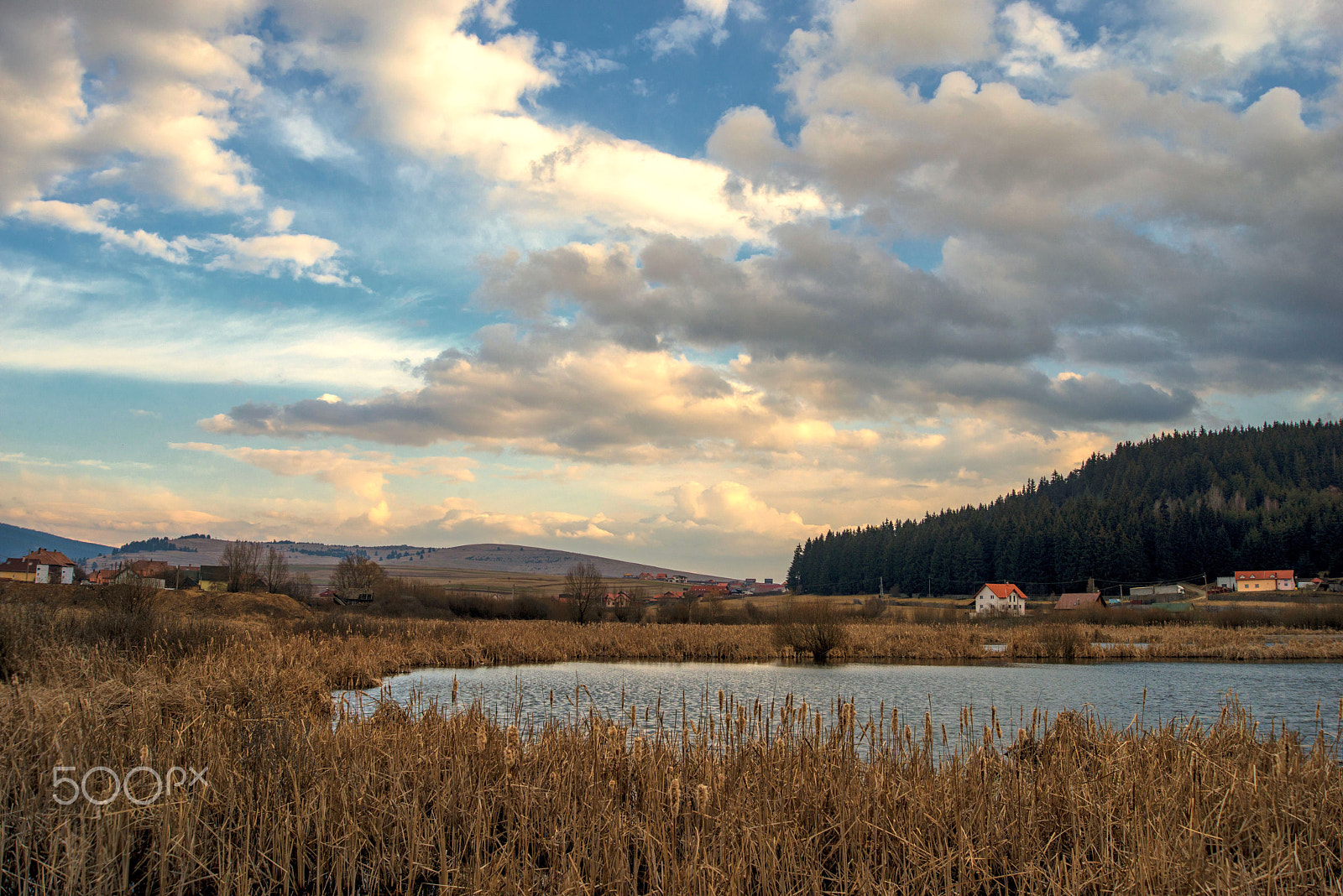 AF Zoom-Nikkor 28-100mm f/3.5-5.6G sample photo. Lakeside photography