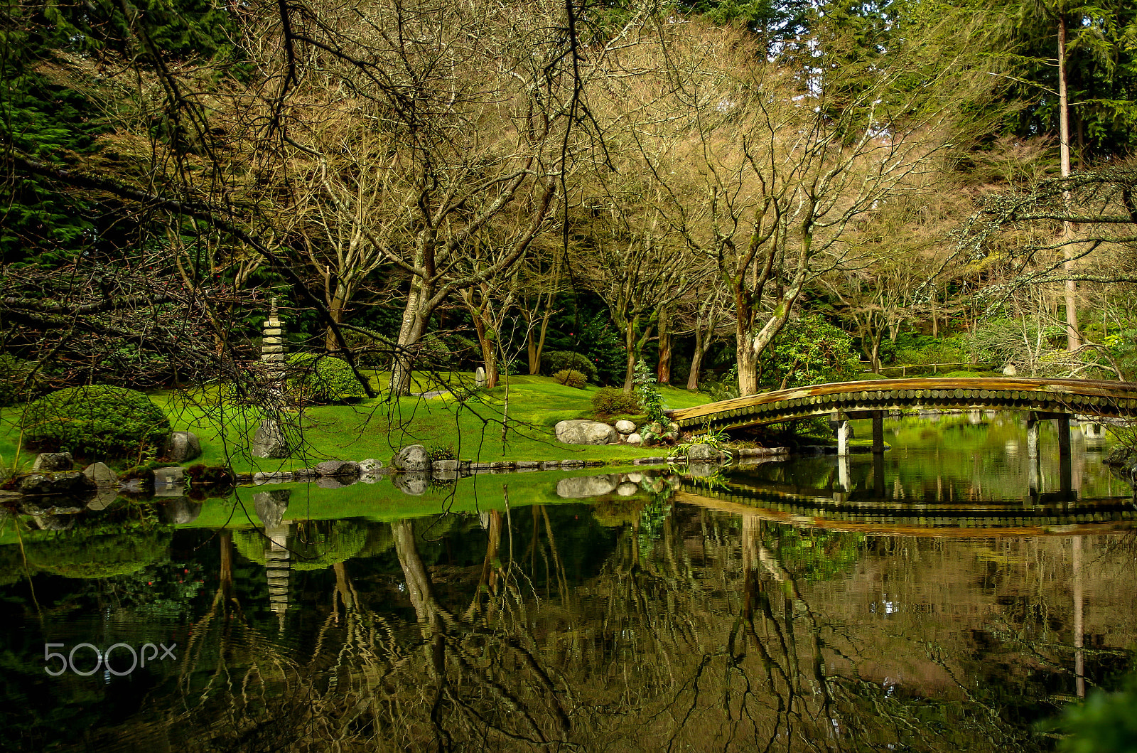 Tamron AF 18-200mm F3.5-6.3 XR Di II LD Aspherical (IF) Macro sample photo. Nitobe garden at ubc photography