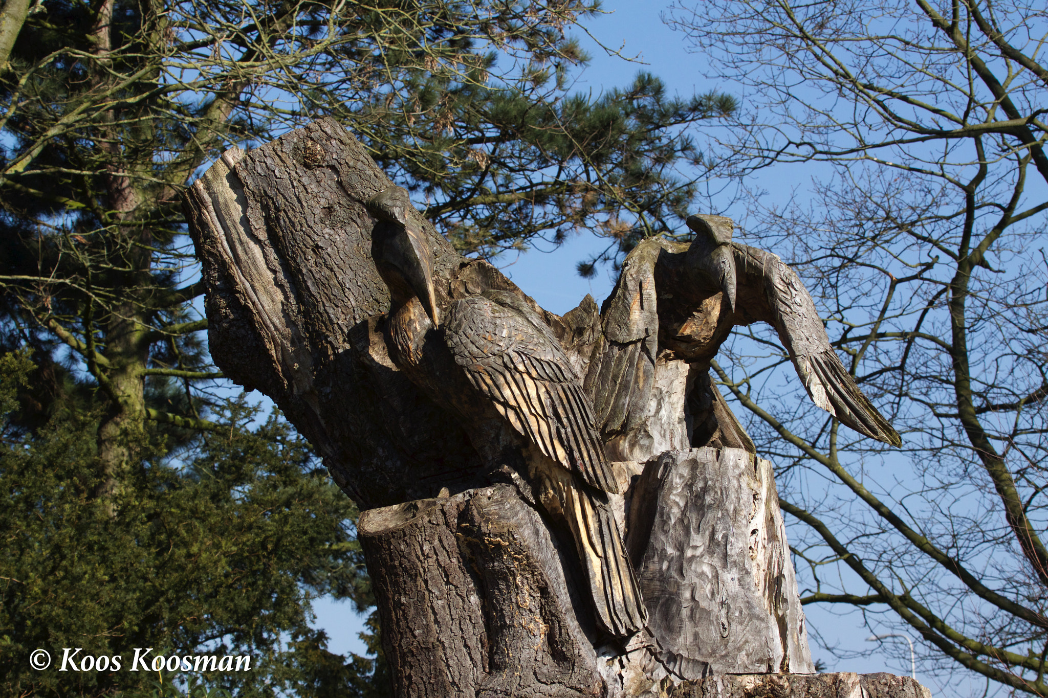 Canon EF 100-400mm F4.5-5.6L IS USM sample photo. Wooden birds photography