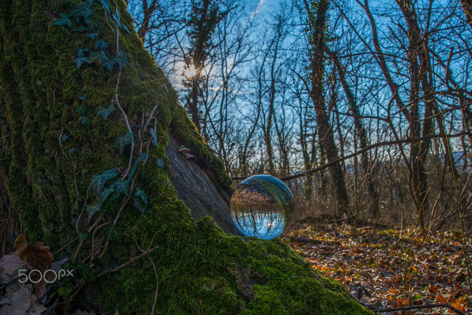 AF Zoom-Nikkor 28-80mm f/3.3-5.6G sample photo. Glassworld '5' photography