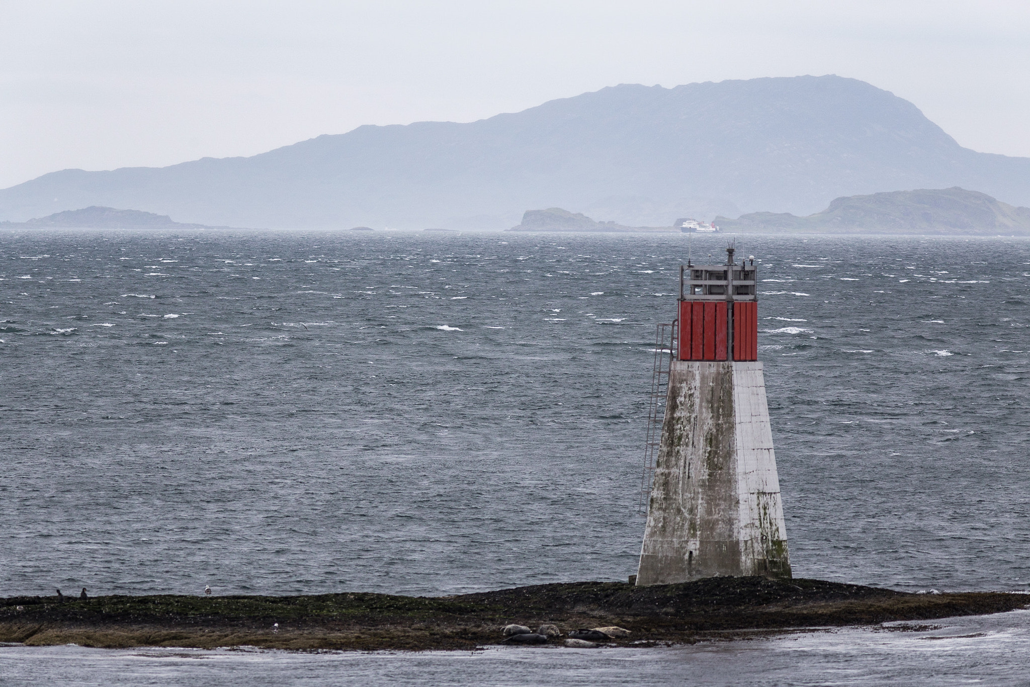 Canon EF 300mm F4L IS USM sample photo. Sentinel photography