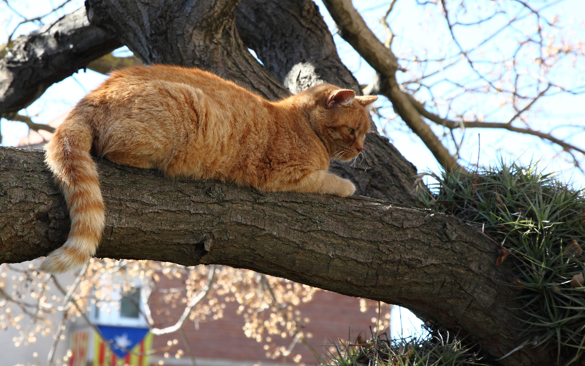 Canon EF 24-105mm F4L IS USM sample photo. Jpg photography