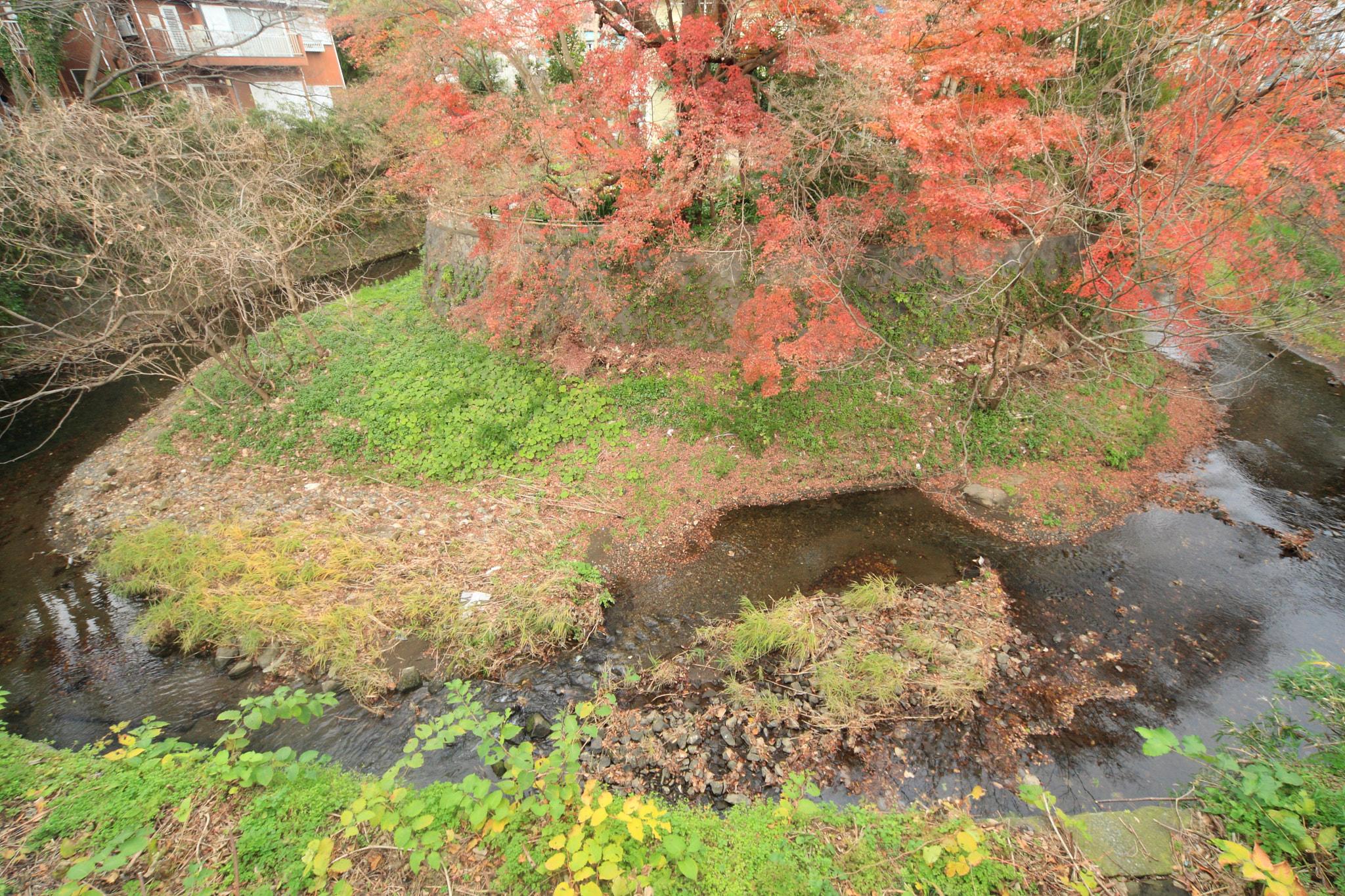 Canon EOS-1D Mark III sample photo. 鎌倉の絶景 photography