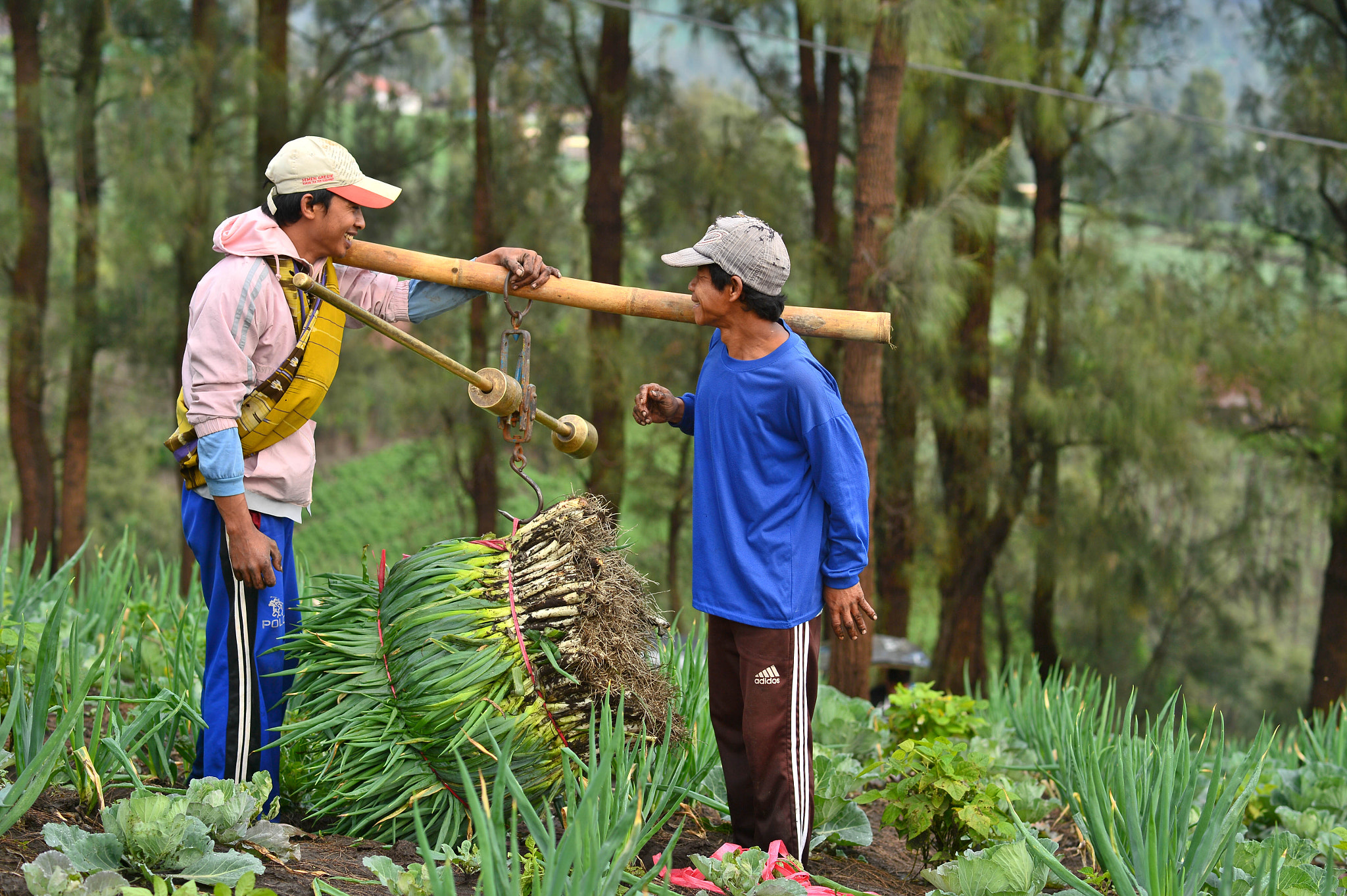 Nikon Df + Nikon AF-S Nikkor 85mm F1.8G sample photo. Tengger bromo human interest photography