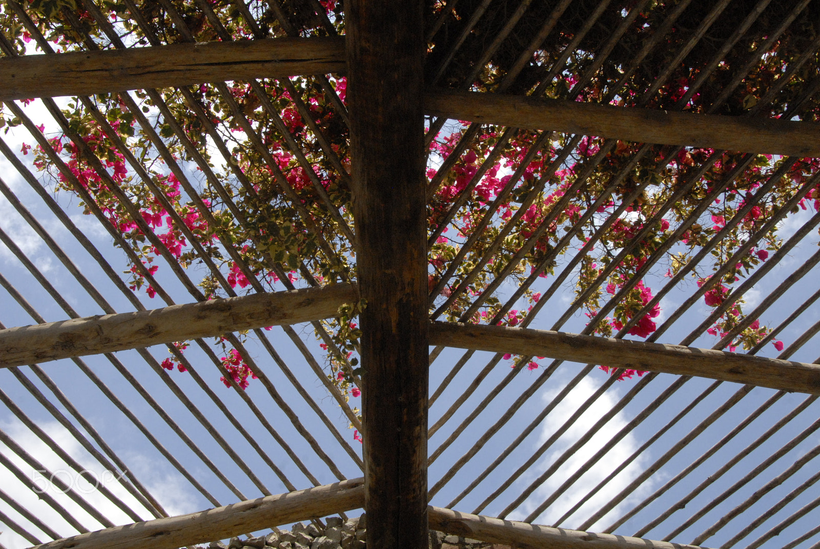Nikon D200 sample photo. Ventana al cielo photography