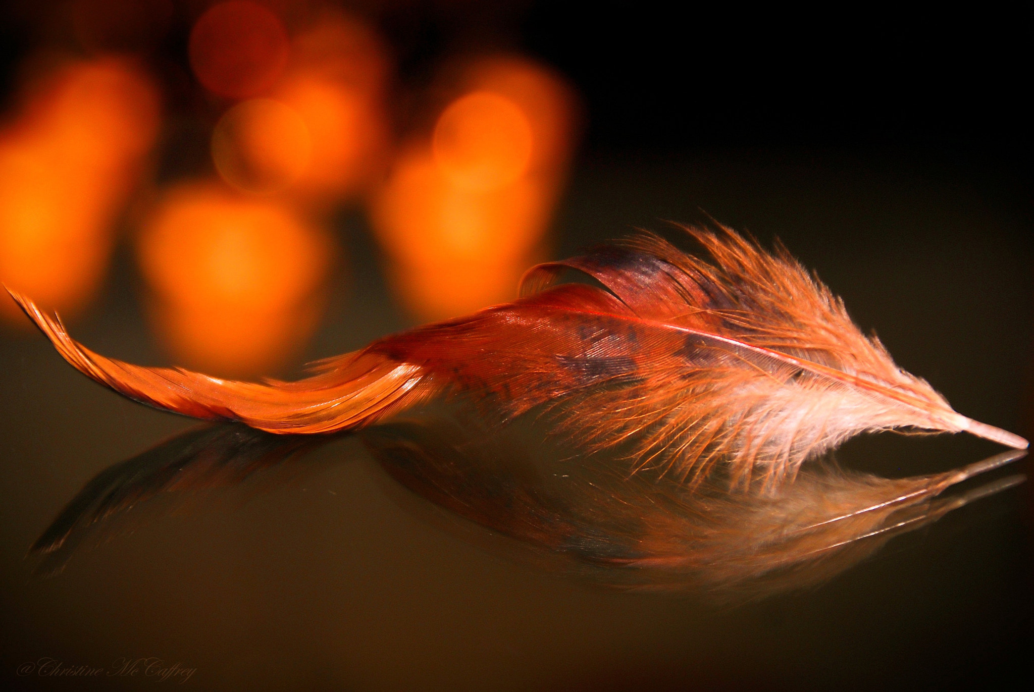 Nikon D200 sample photo. Feather's reflection photography