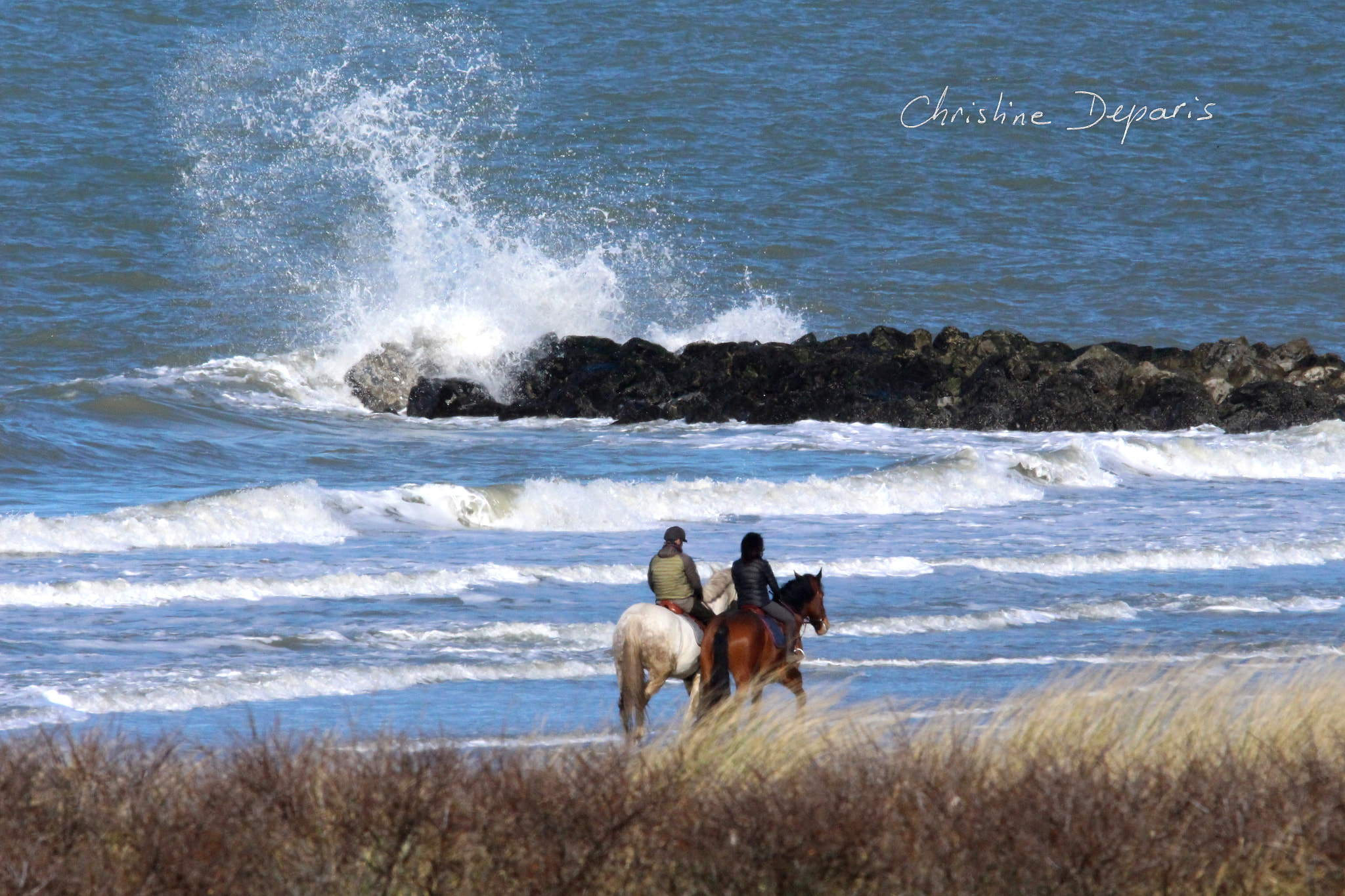 Sigma 150-600mm F5-6.3 DG OS HSM | C sample photo. Zwin natural preserve photography