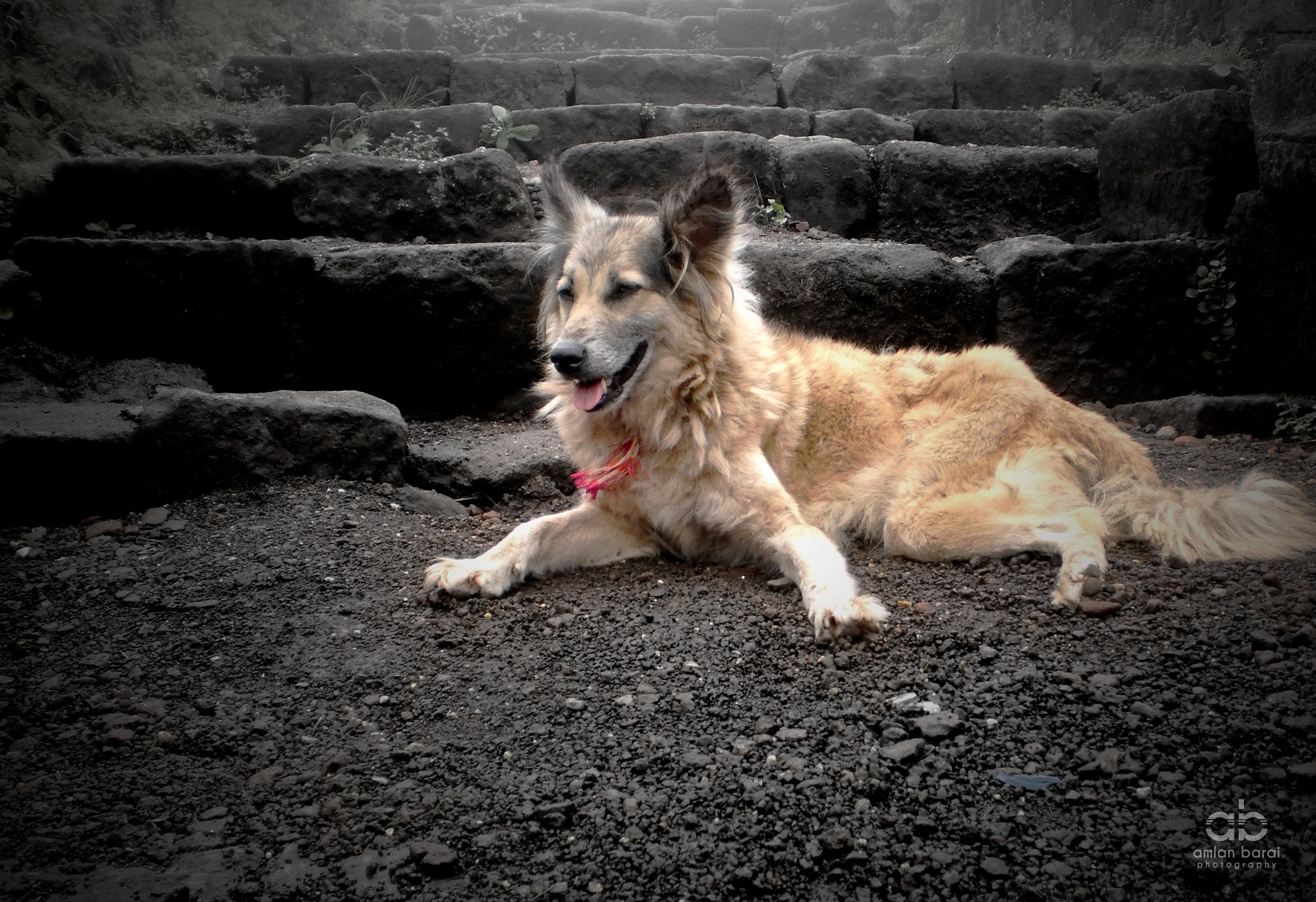 Olympus T105,T100,X36 sample photo. The guardian... photography