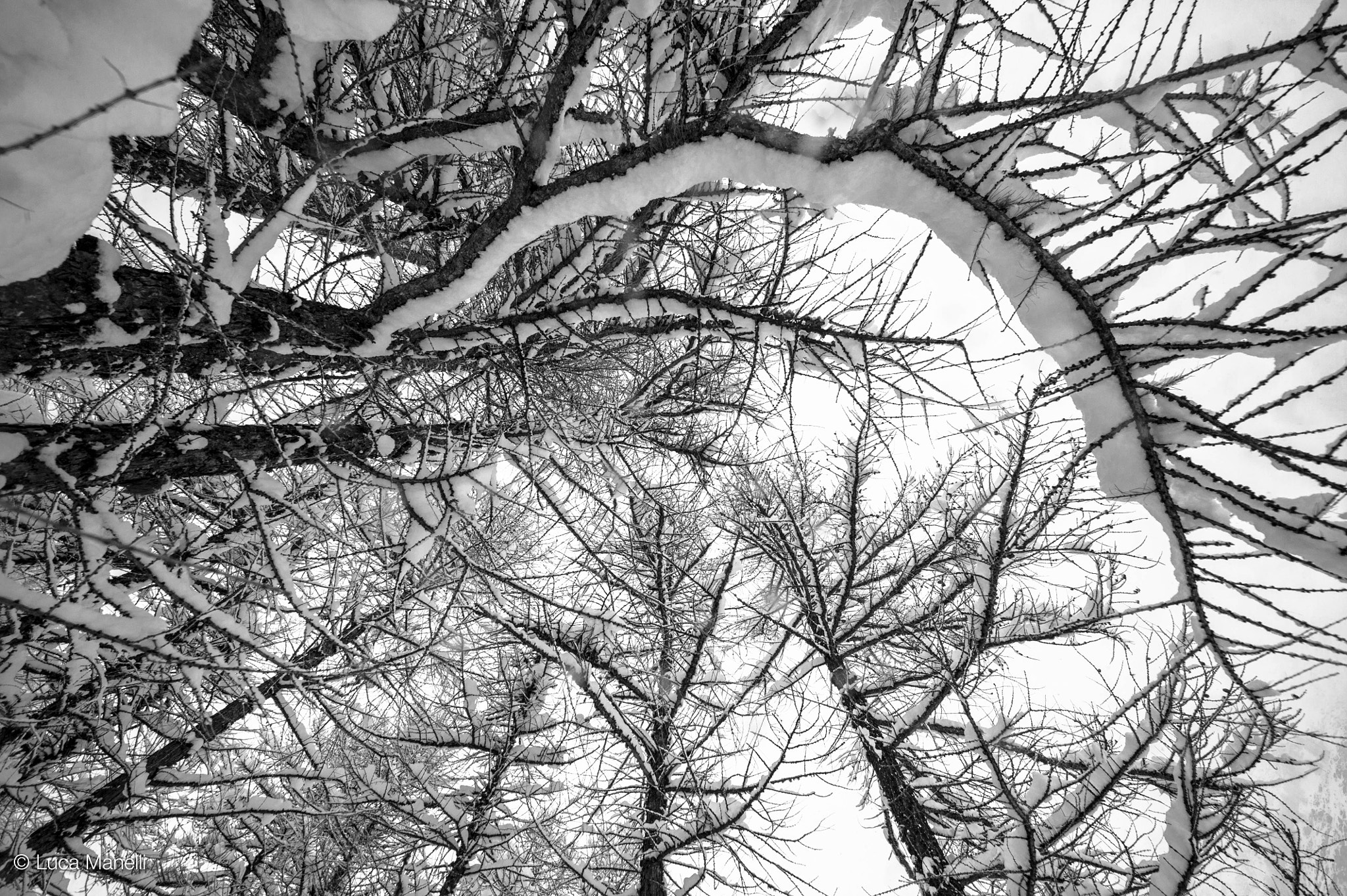 Sigma 12-24mm F4.5-5.6 II DG HSM sample photo. Valsavaranche, valle d'aosta, italia photography