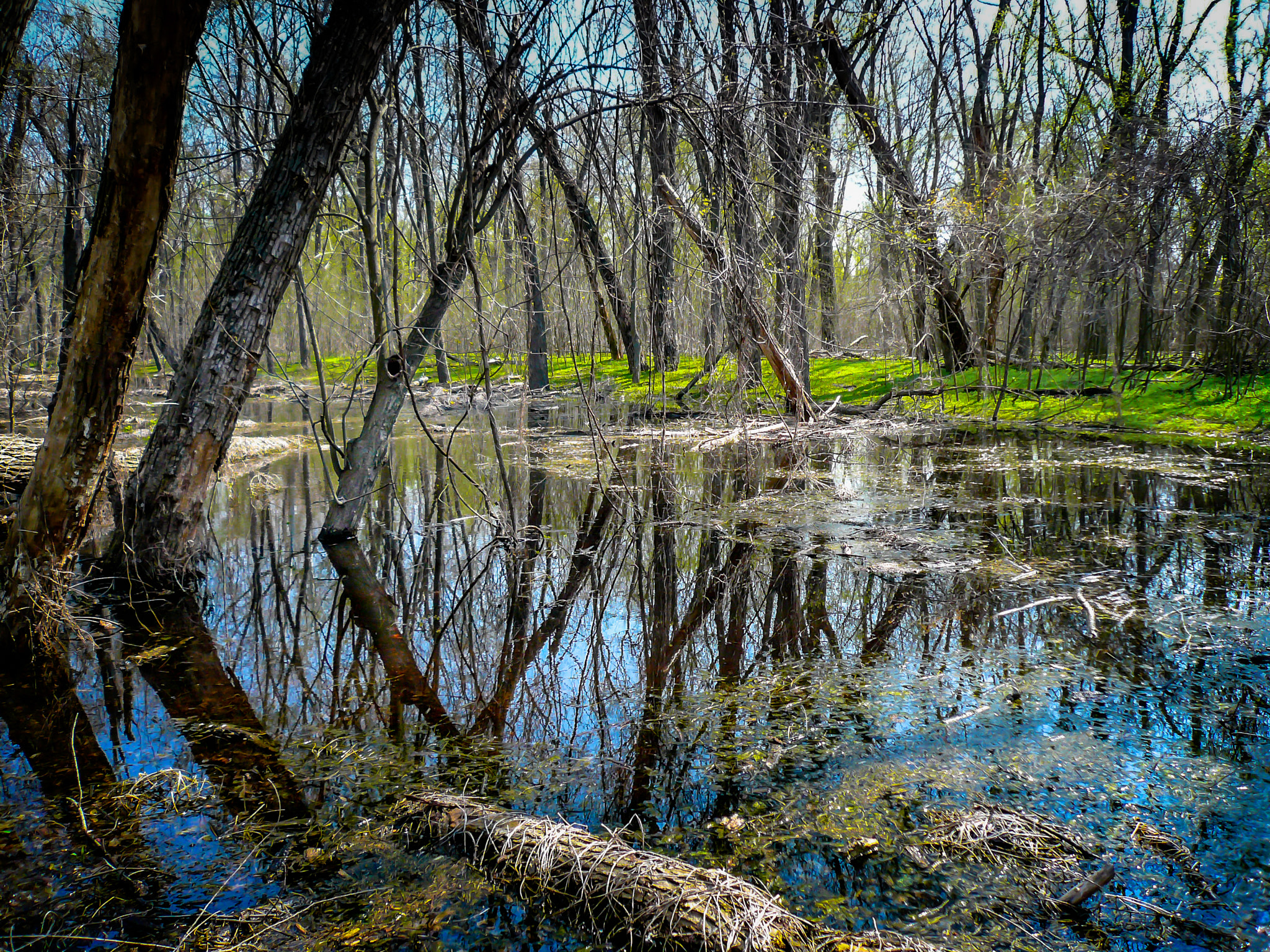 Panasonic DMC-FX07 sample photo. Mississippi backwater photography