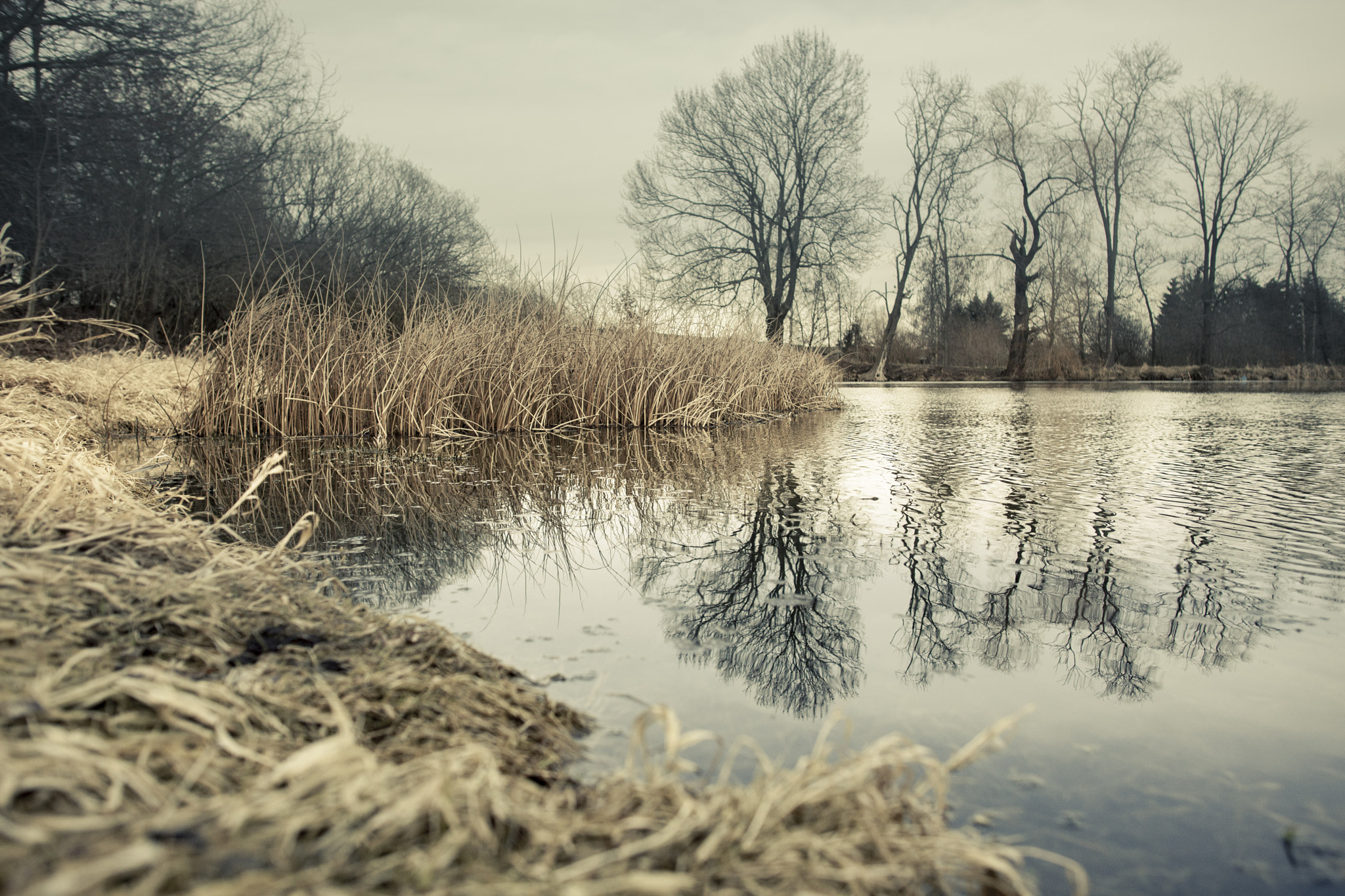 Canon EOS 5D Mark II + Sigma 28mm f/1.8 DG Macro EX sample photo. Pond photography