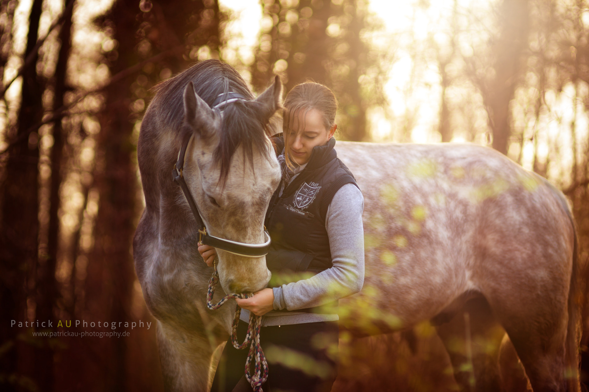 Sony a99 II + Sigma 85mm F1.4 EX DG HSM sample photo. Magical moments in forest photography