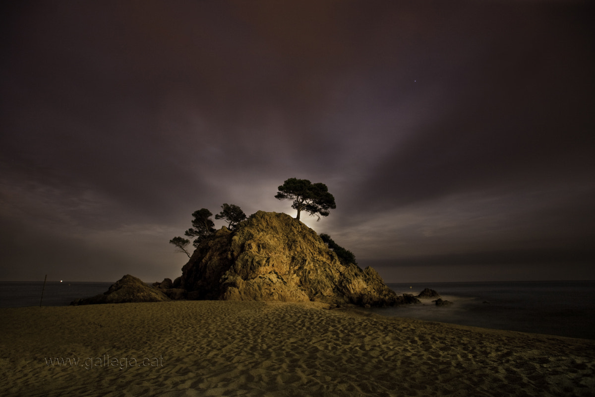 Canon EOS 5D + Canon EF 17-35mm f/2.8L sample photo. Still photography