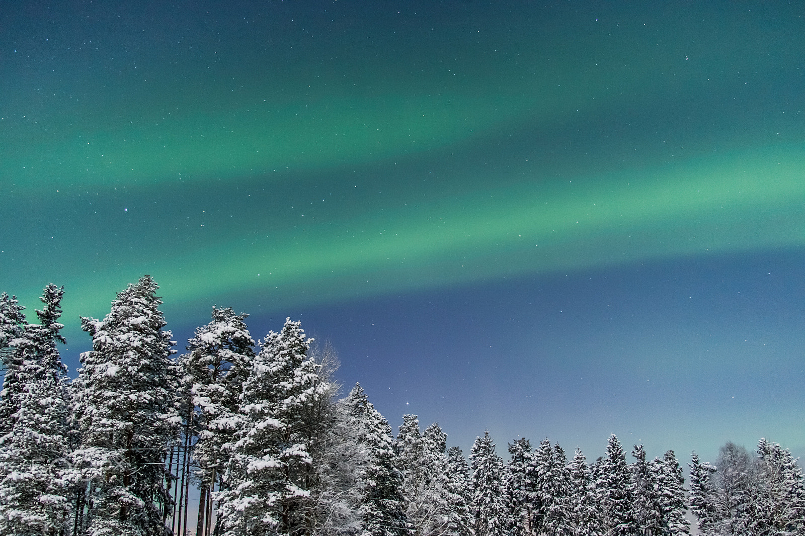 Canon EOS-1D Mark II sample photo. Silent night photography